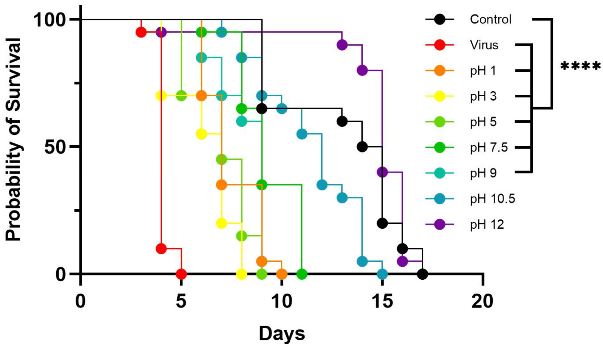 Viruses 14 02158 g005