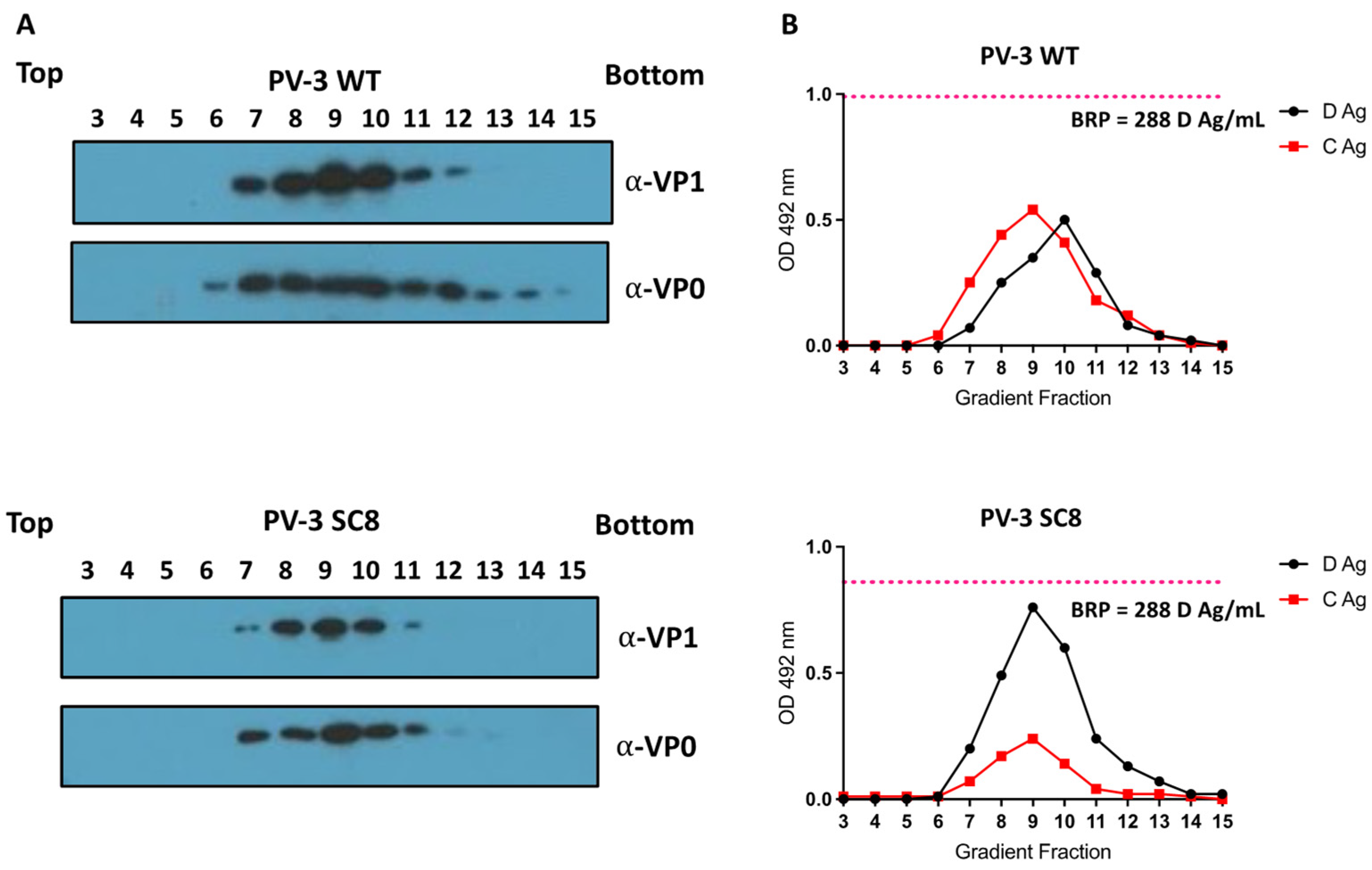 Viruses 14 02159 g002 Viruses 14 02159 g002