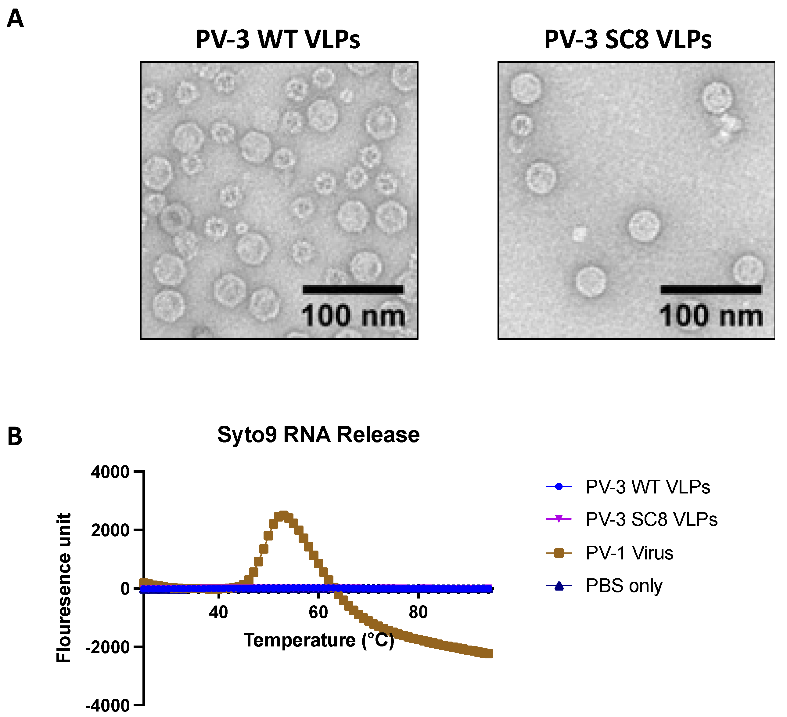 Viruses 14 02159 g004 Viruses 14 02159 g004