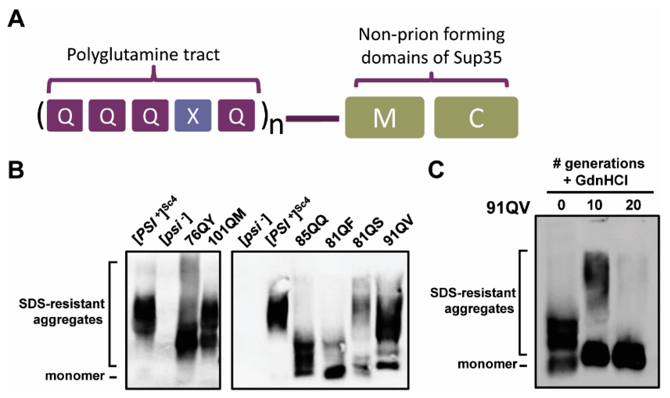 Viruses 14 02160 g001