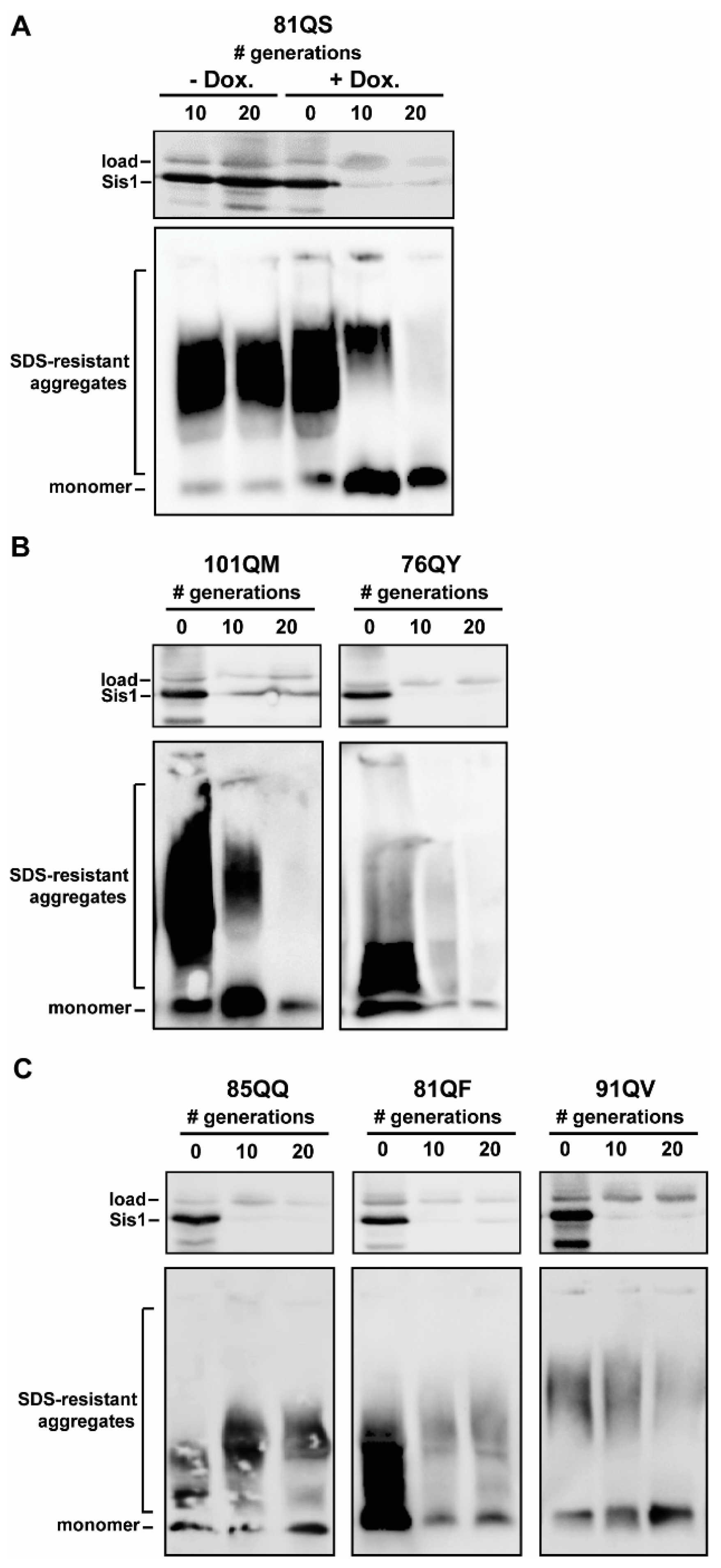 Viruses 14 02160 g002