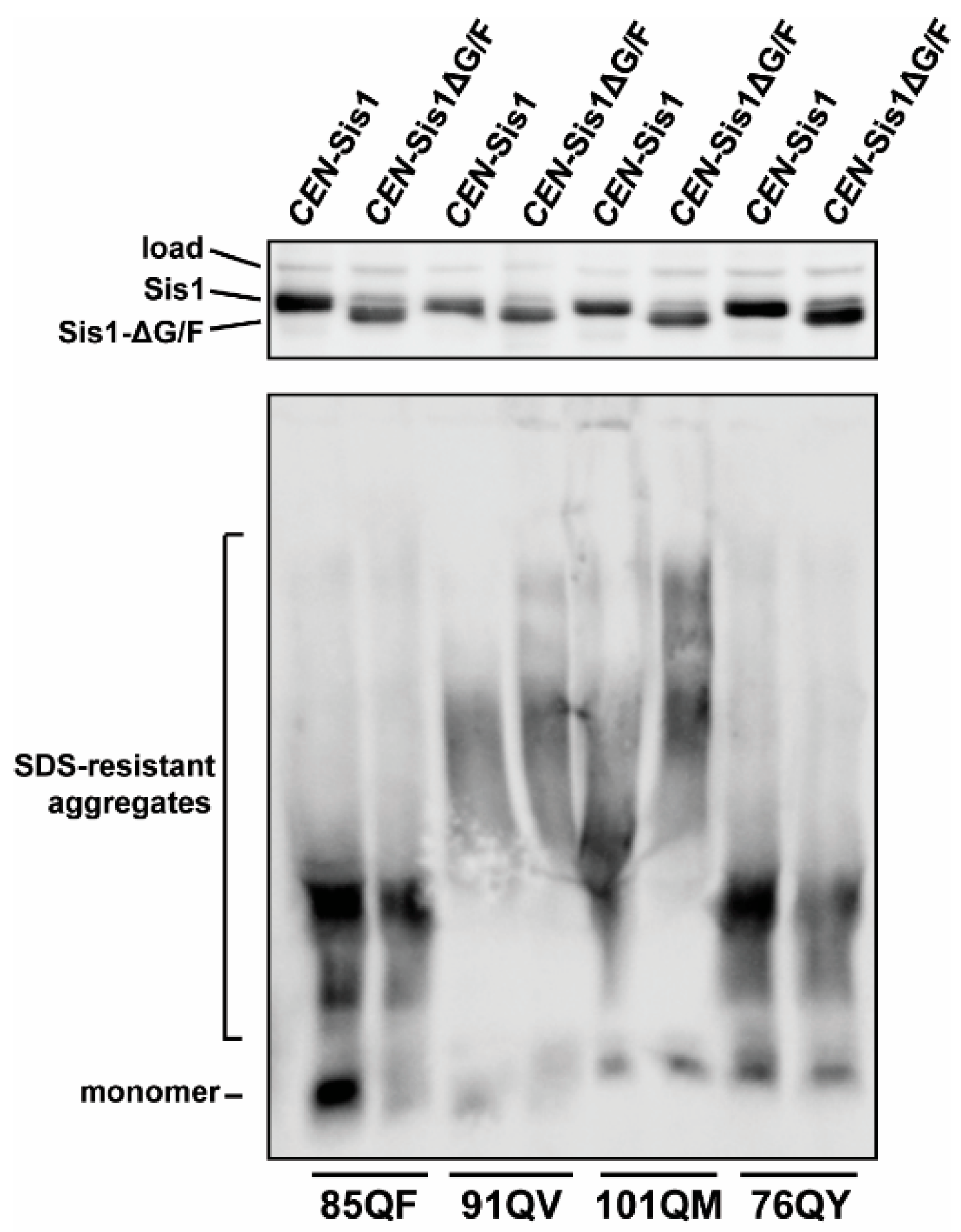 Viruses 14 02160 g004