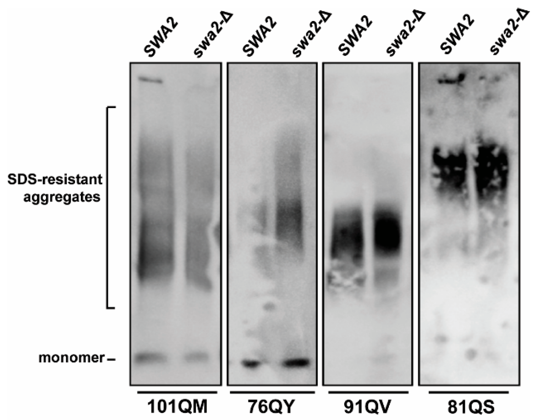 Viruses 14 02160 g005
