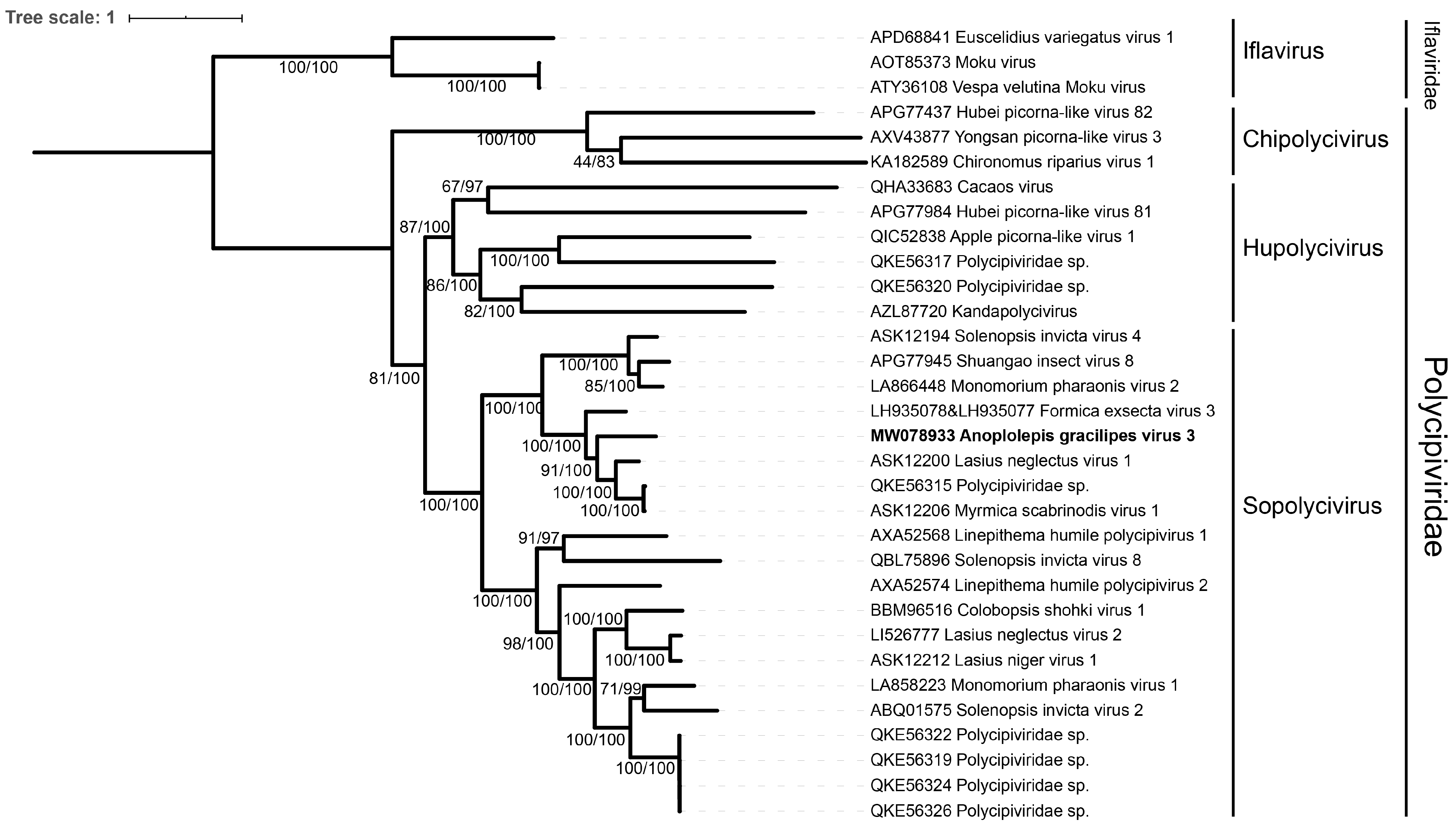 Viruses 14 02161 g003 Viruses 14 02161 g003