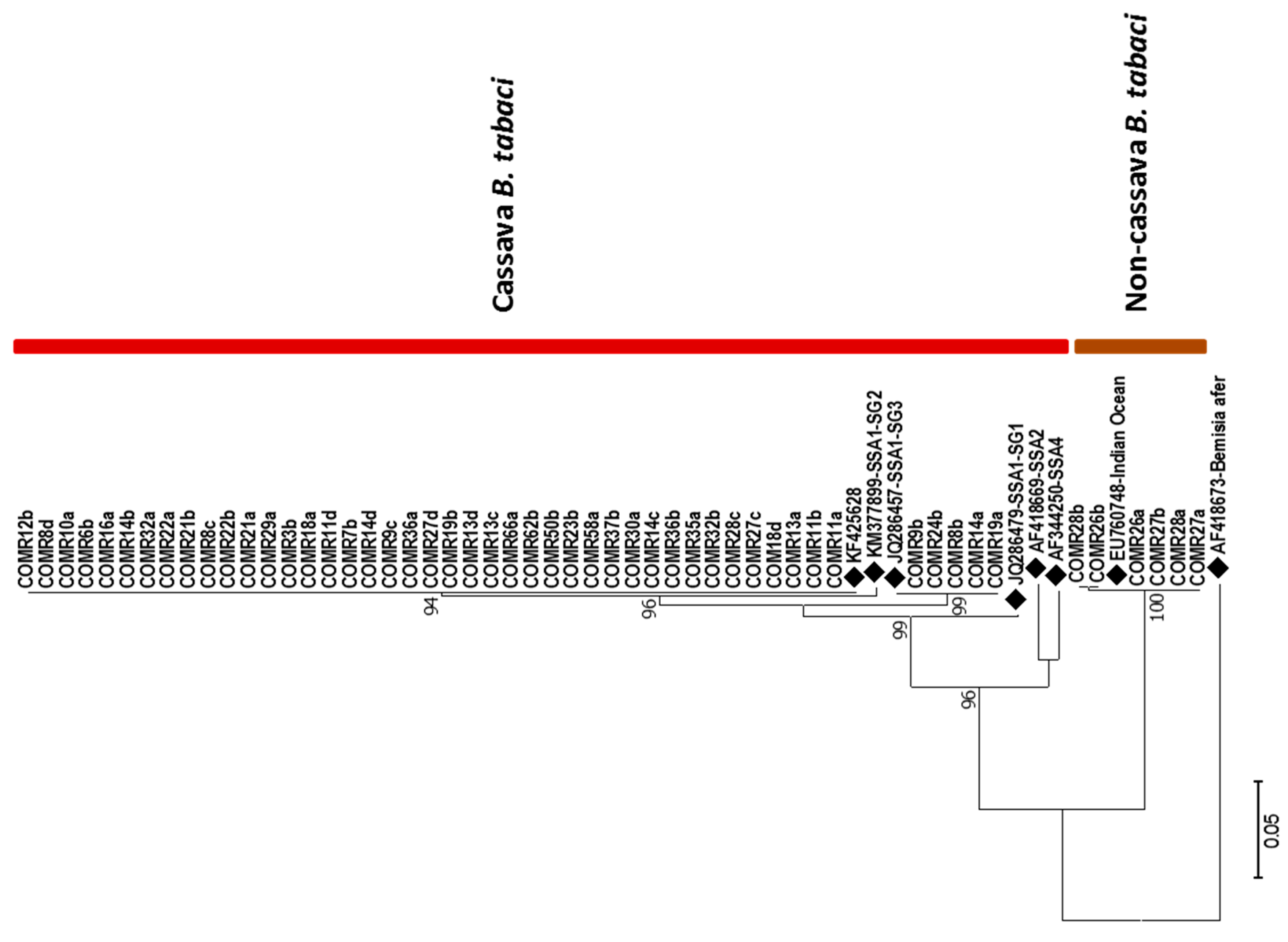 Viruses 14 02165 g003 Viruses 14 02165 g003