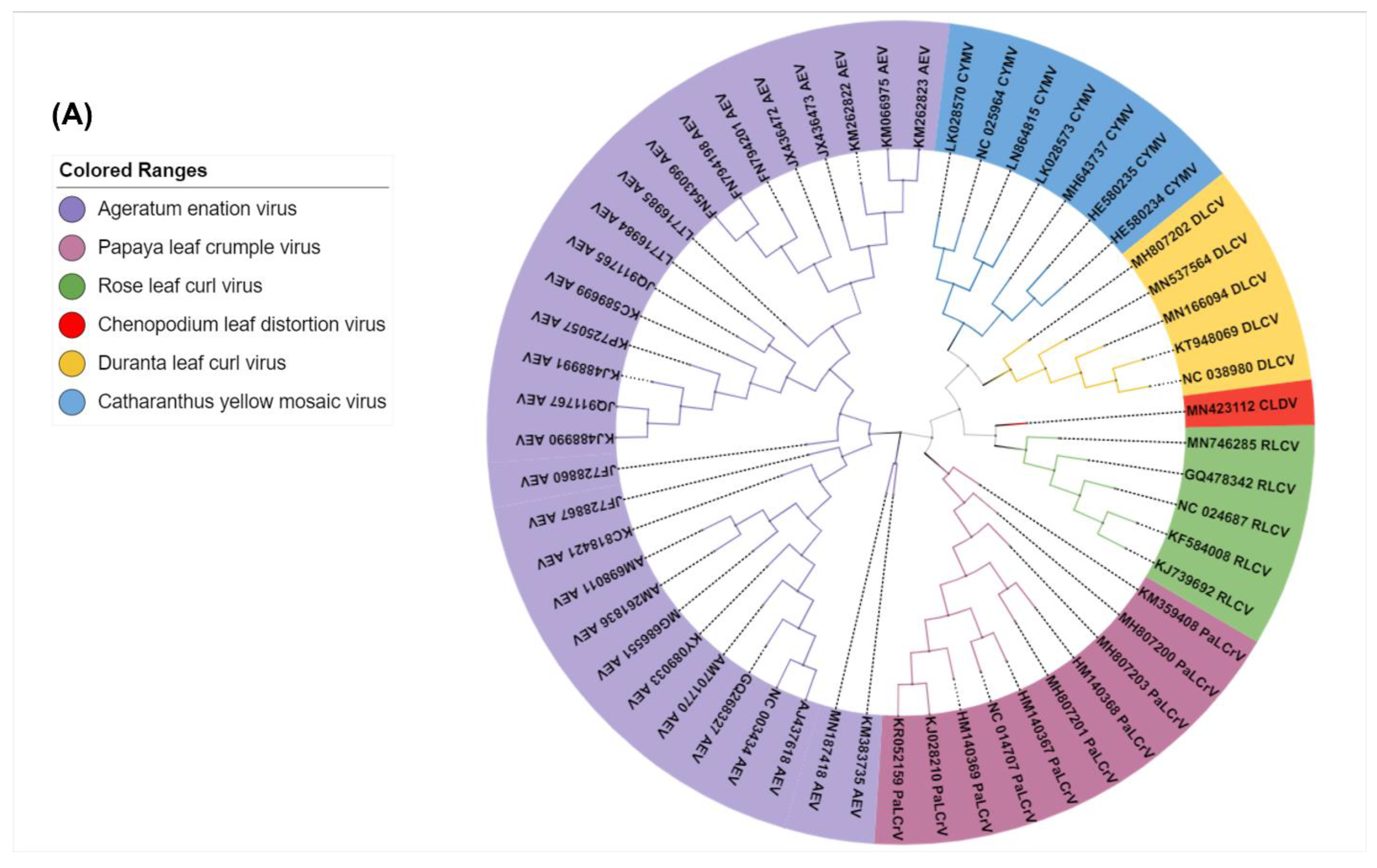 Viruses 14 02166 g004a
