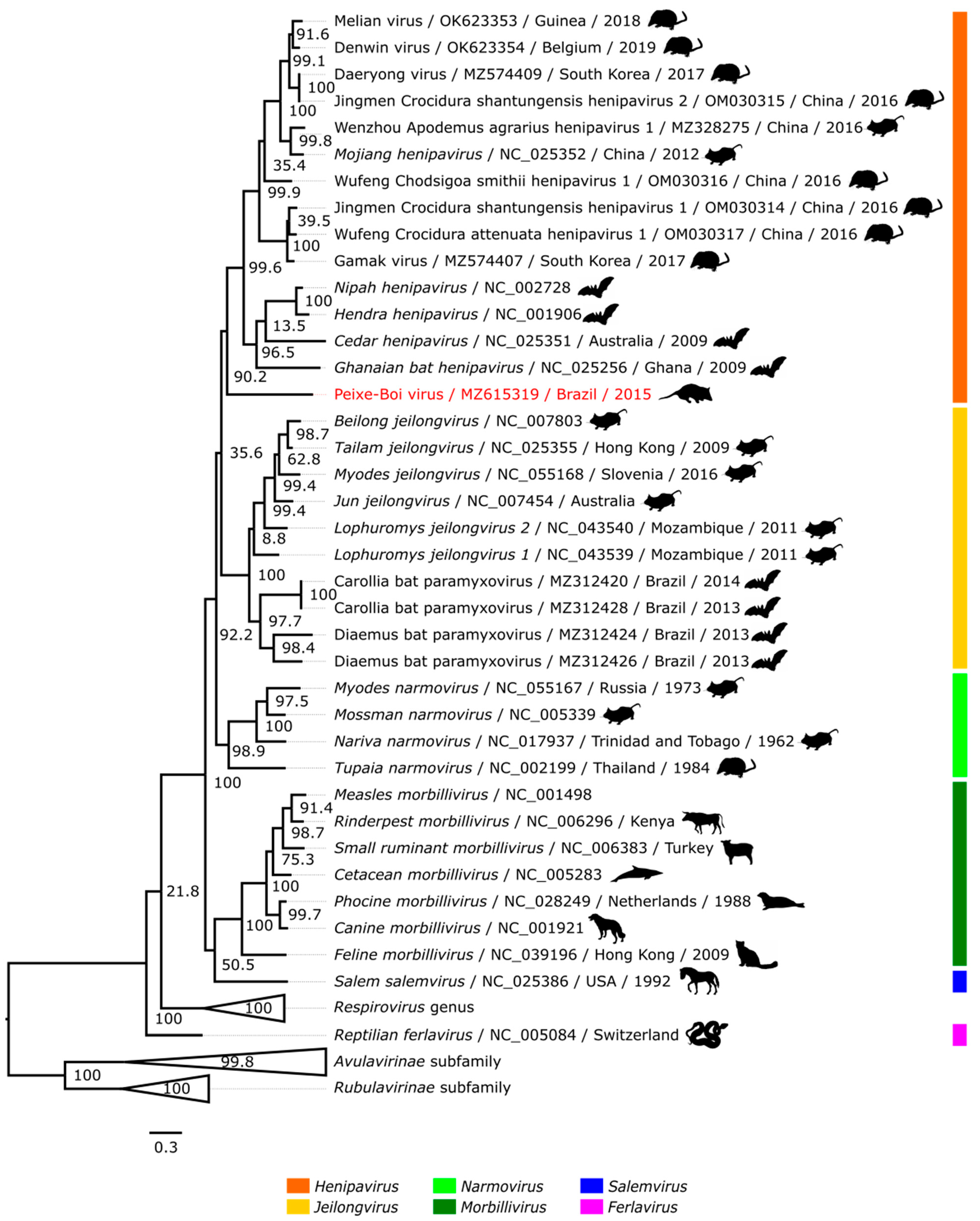 Viruses 14 02167 g003