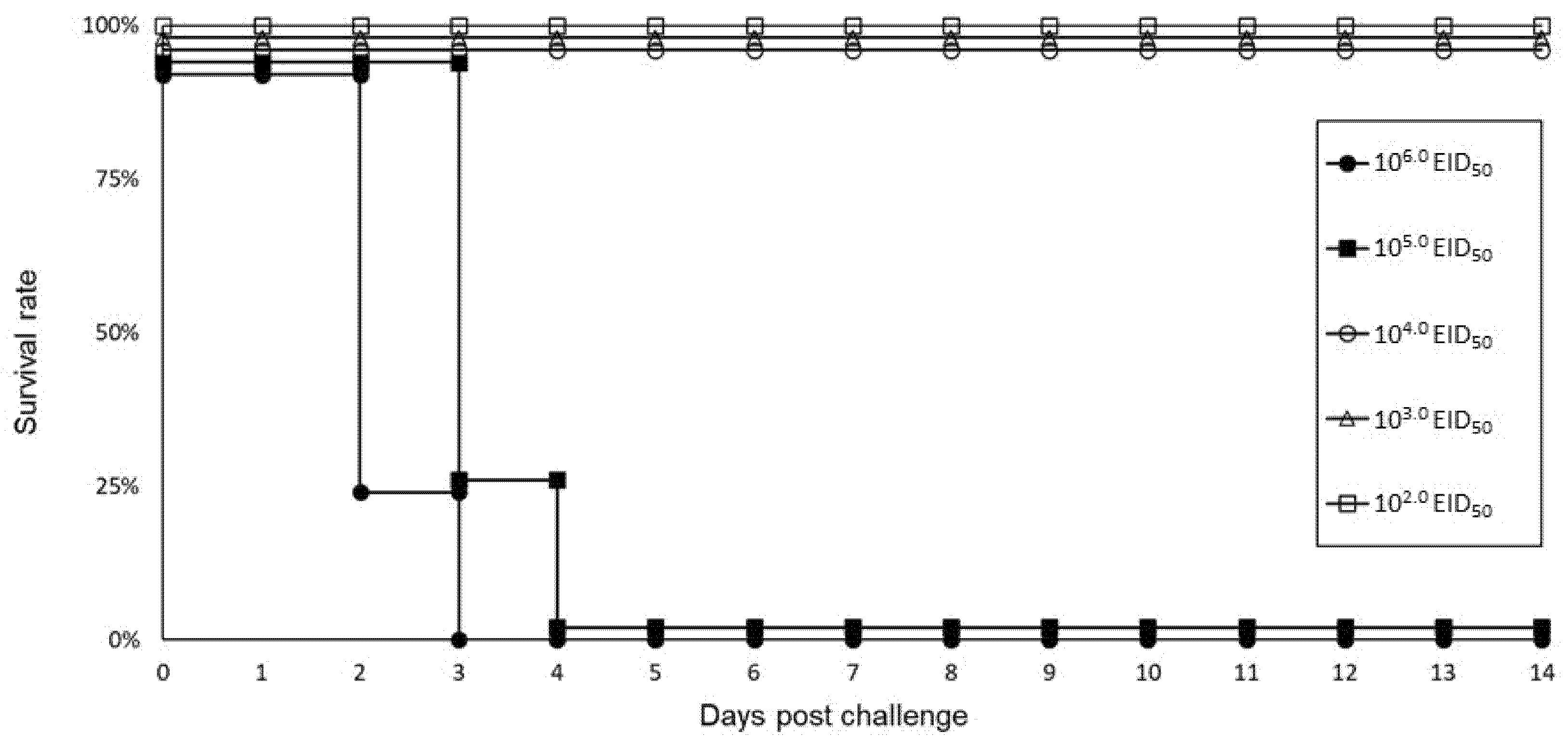 Viruses 14 02168 g003