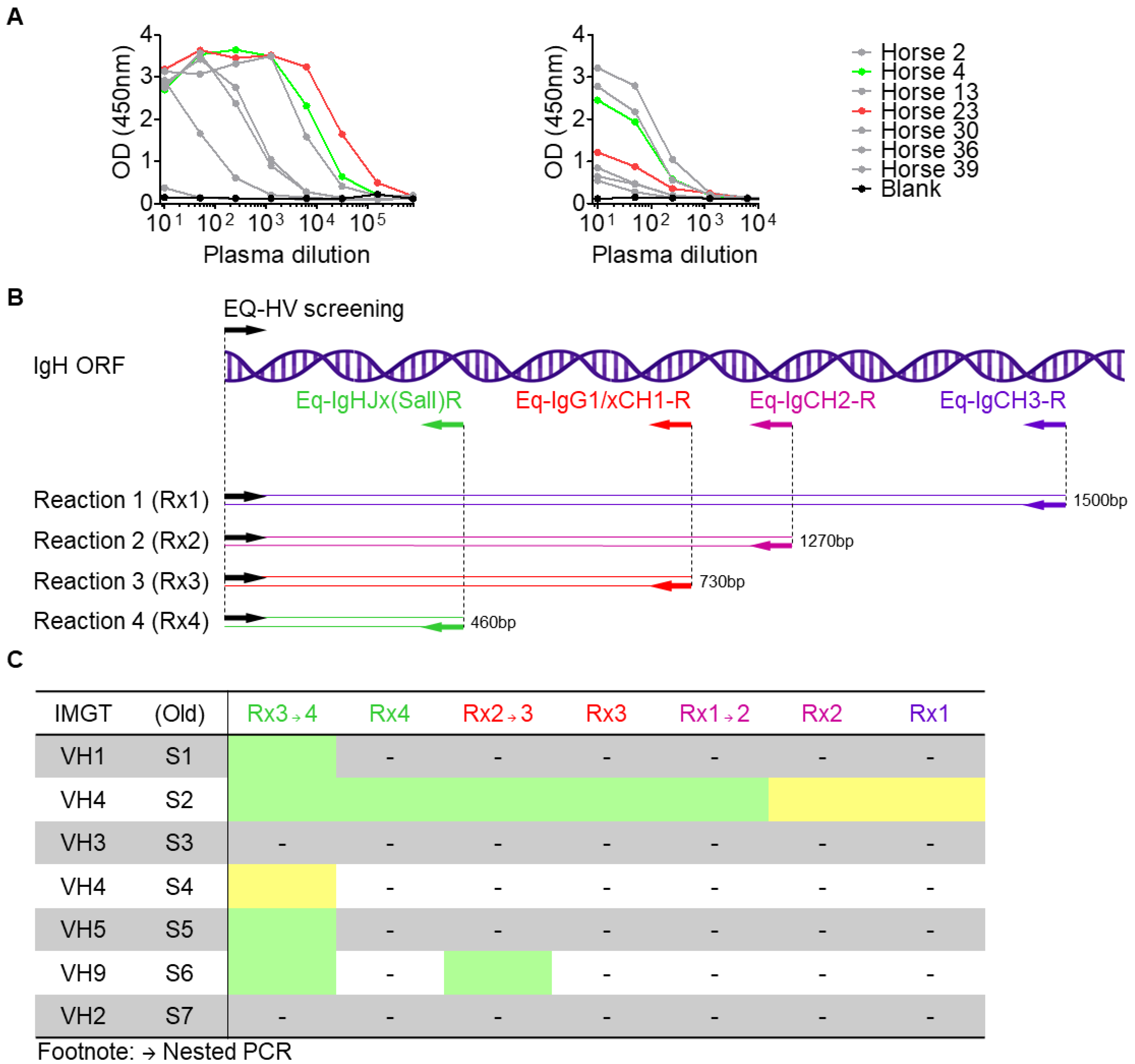Viruses 14 02172 g001
