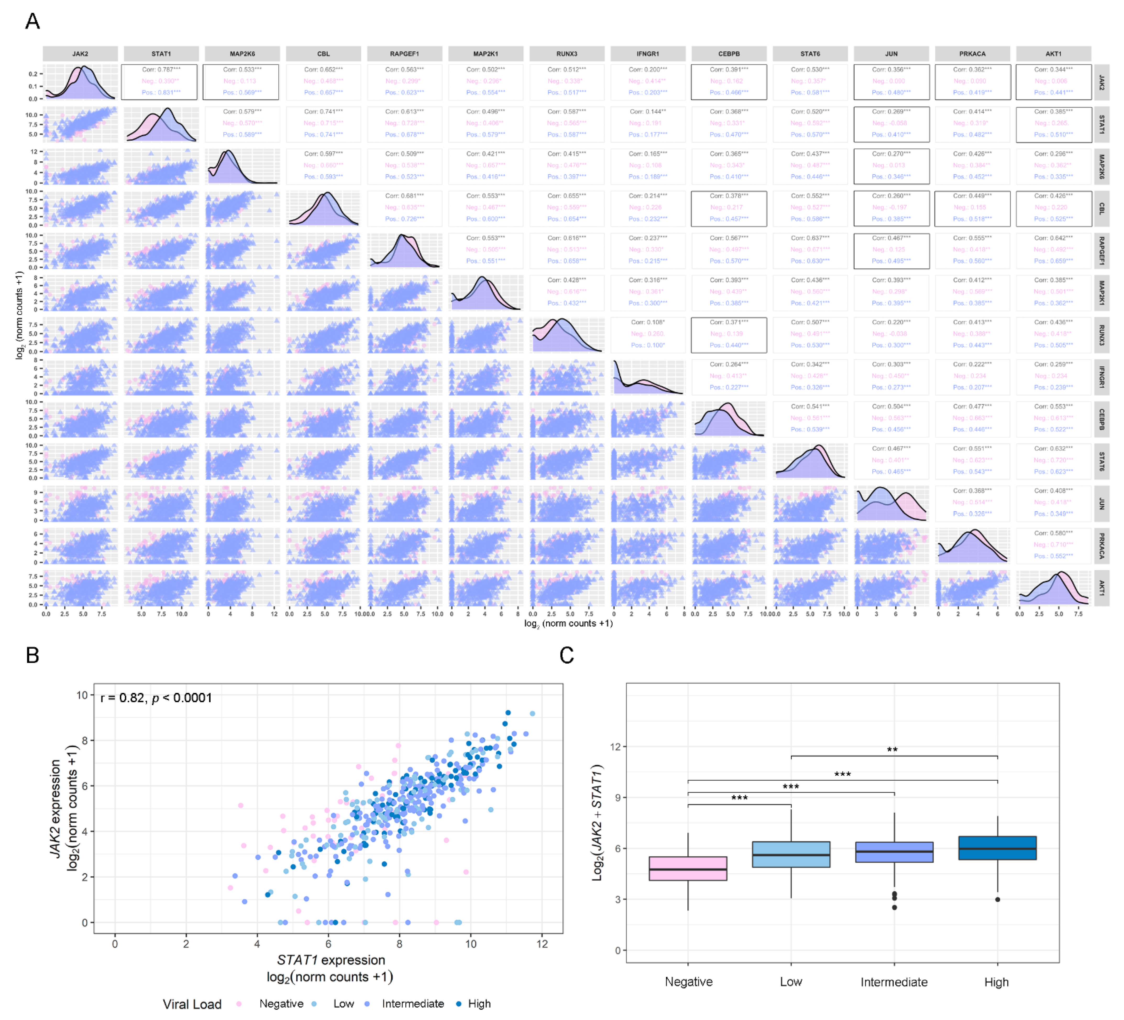 Viruses 14 02180 g003