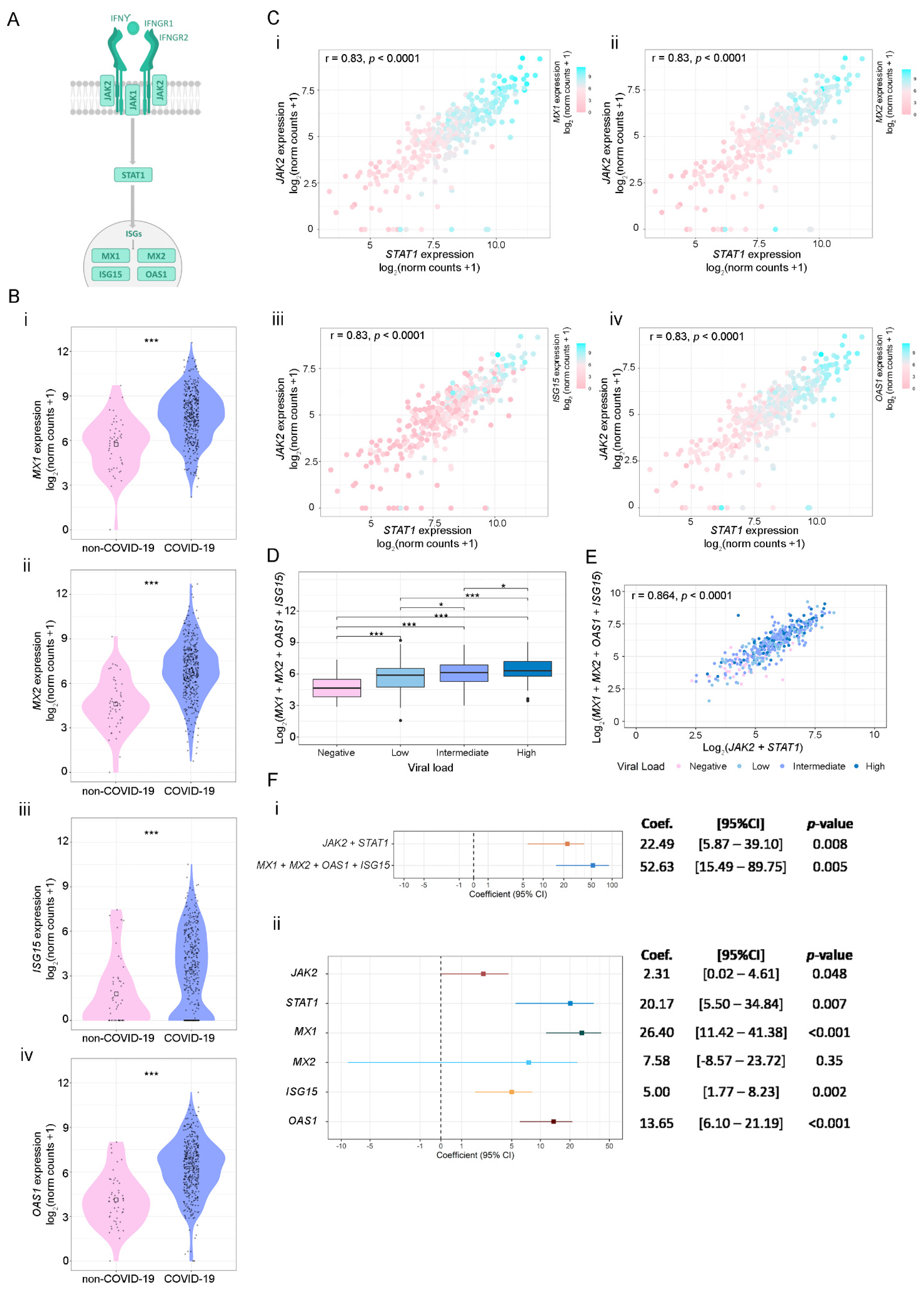Viruses 14 02180 g004