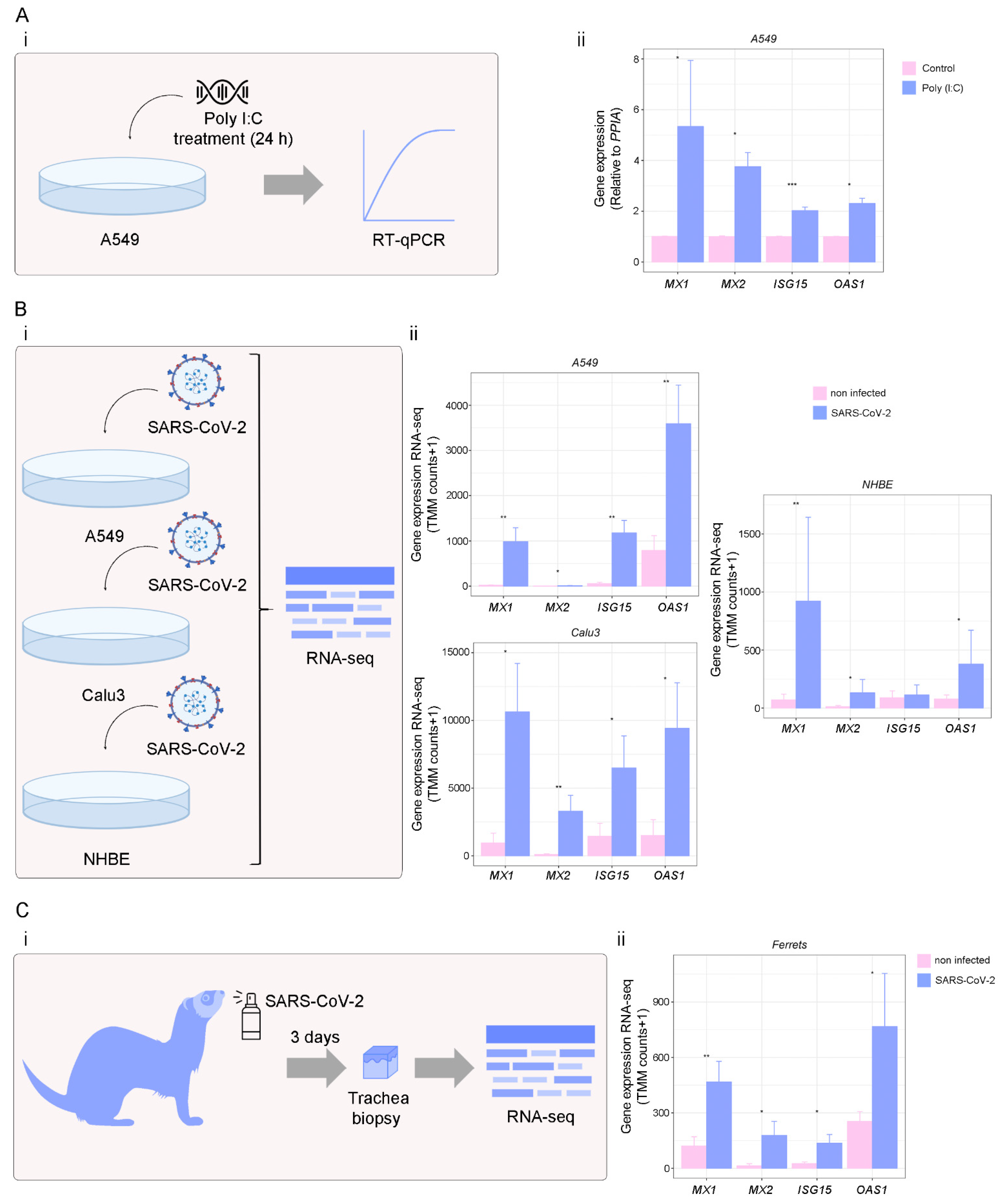 Viruses 14 02180 g005