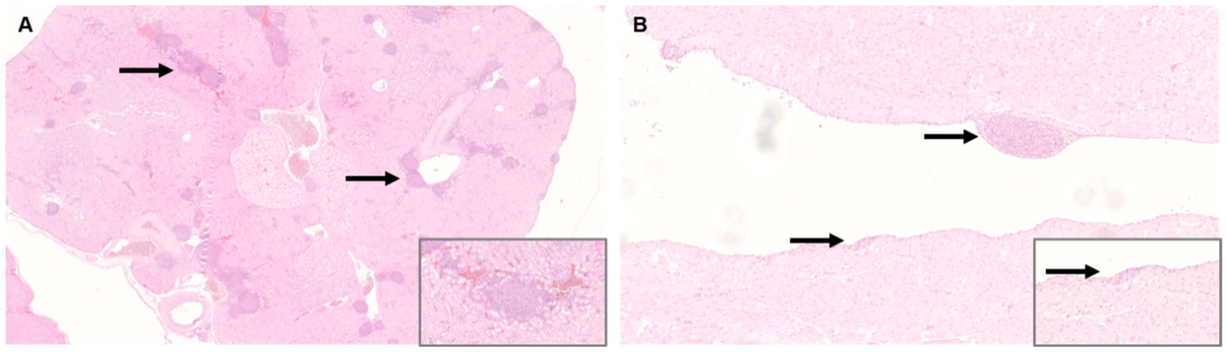 Viruses 14 02181 g003