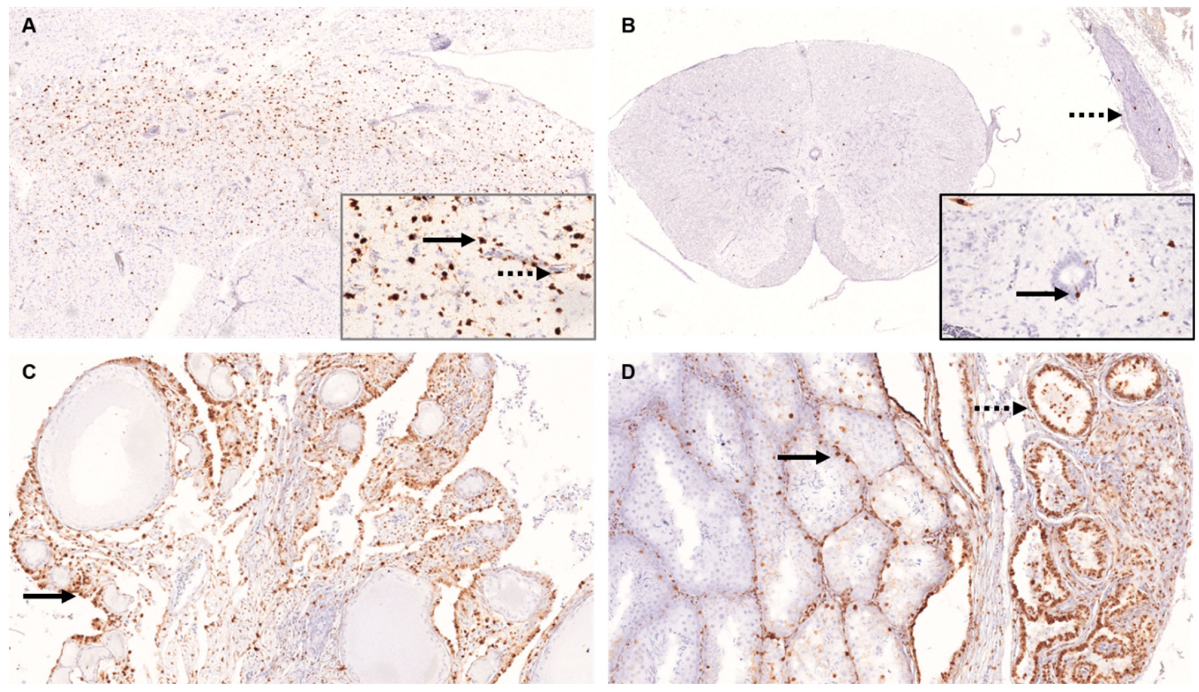Viruses 14 02181 g006