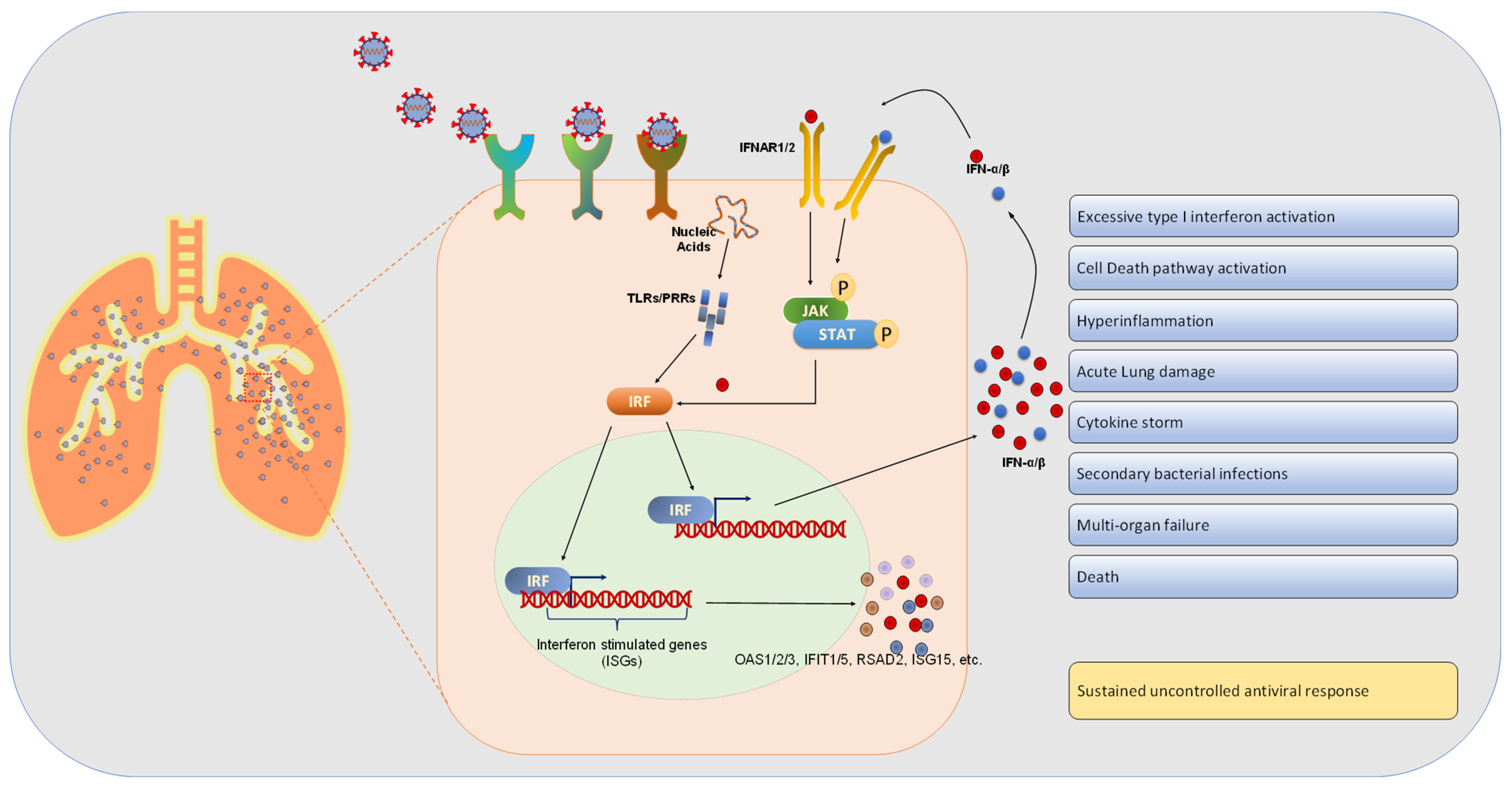 Viruses 14 02182 g002