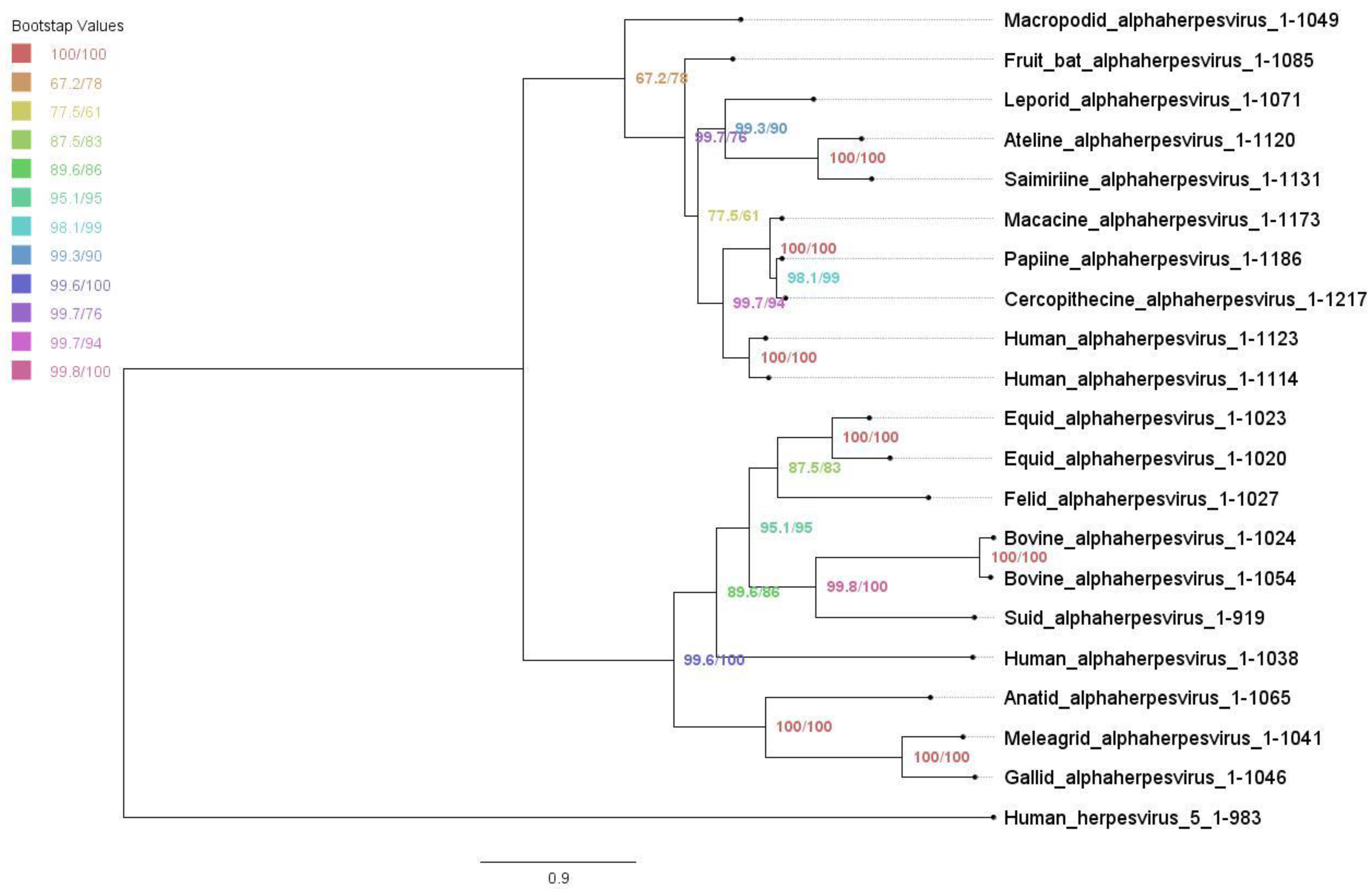 Viruses 14 02189 g002 Viruses 14 02189 g002