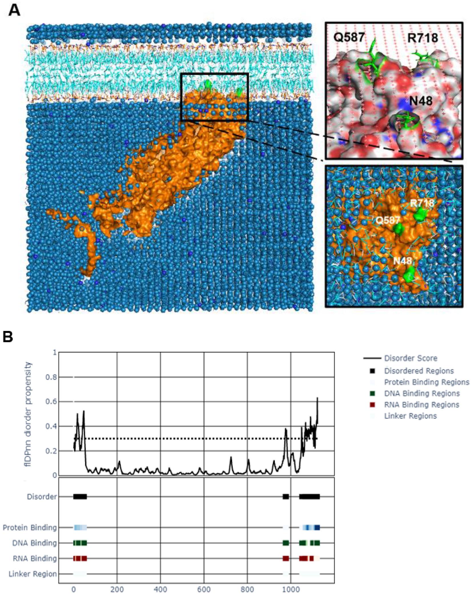 Viruses 14 02189 g005 Viruses 14 02189 g005