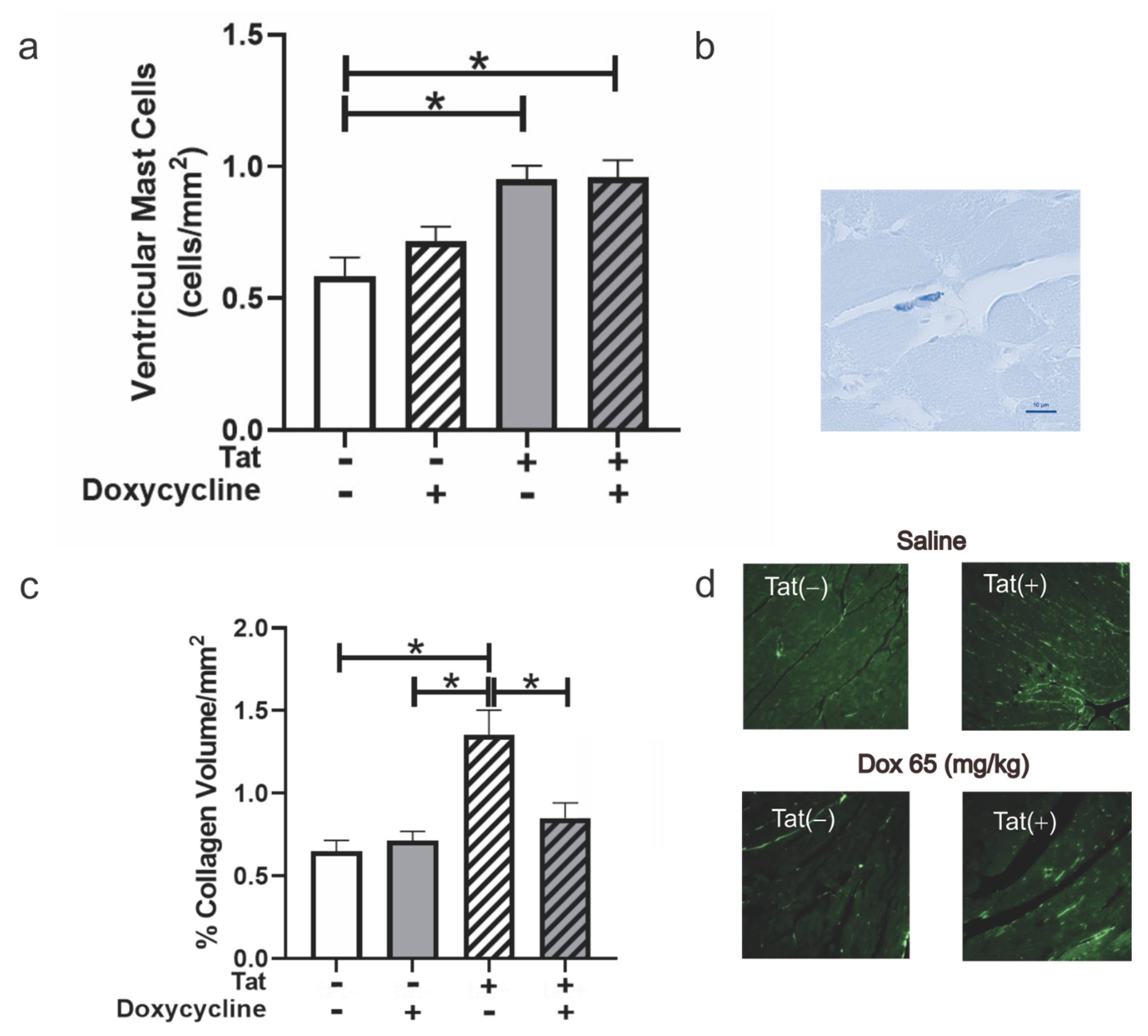 Viruses 14 02191 g005 Viruses 14 02191 g005
