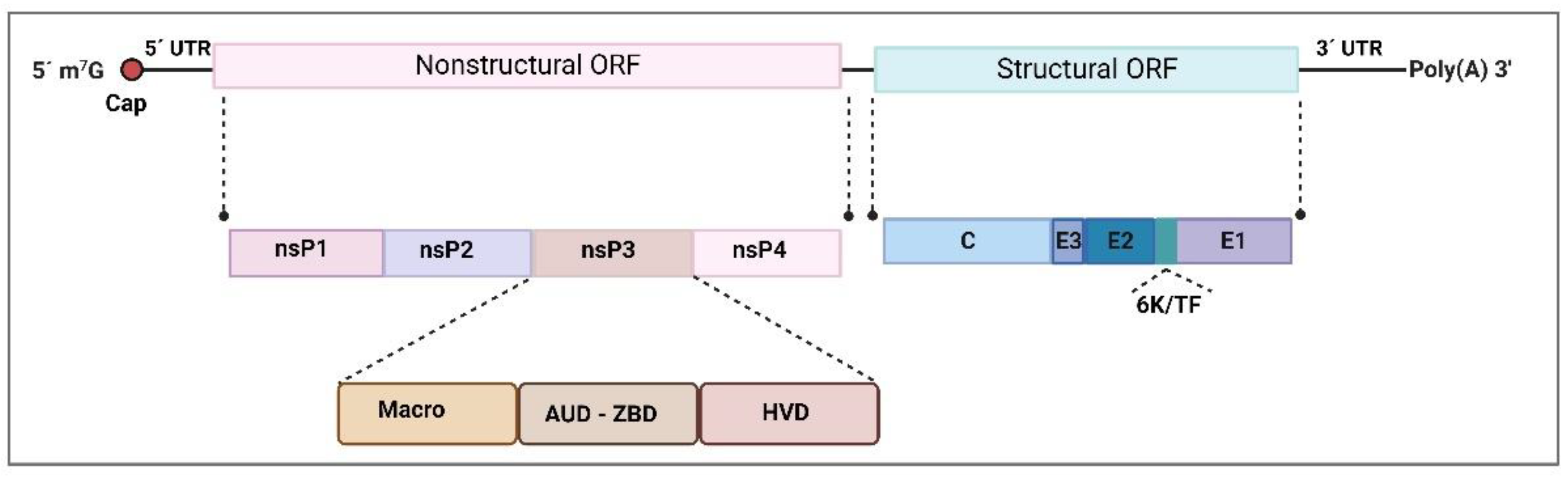 Viruses 14 02194 g001 Viruses 14 02194 g001