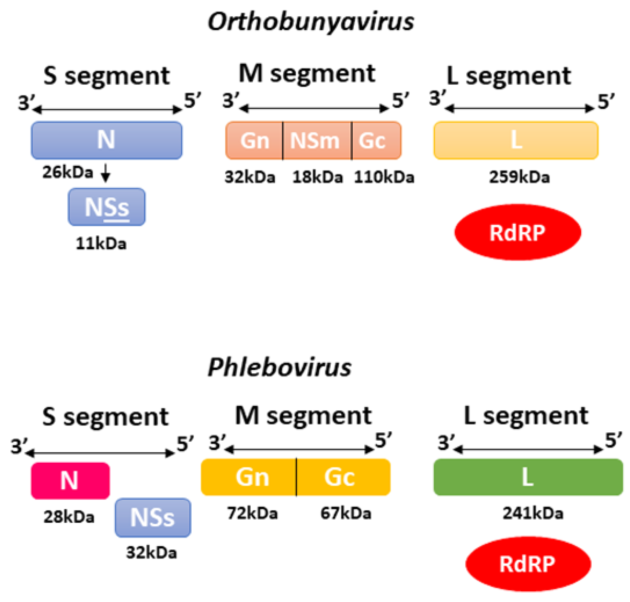 Viruses 14 02194 g004 Viruses 14 02194 g004