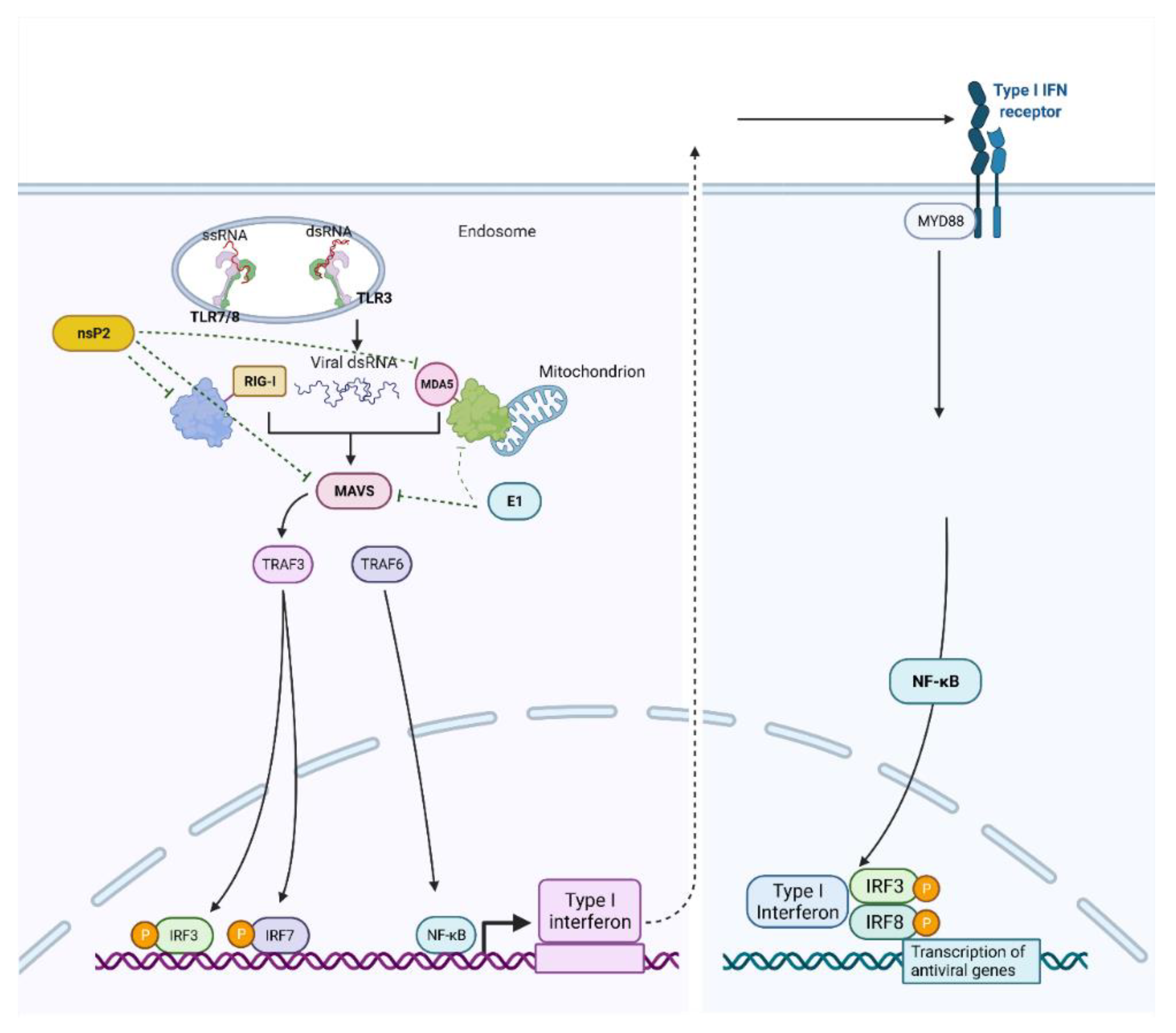 Viruses 14 02194 g006 Viruses 14 02194 g006