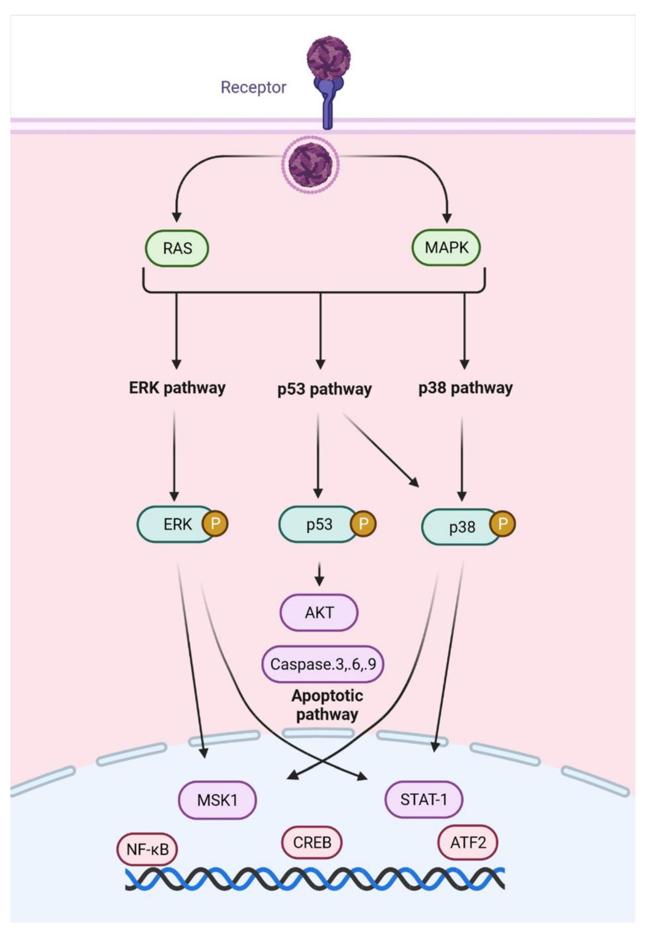 Viruses 14 02194 g008 Viruses 14 02194 g008