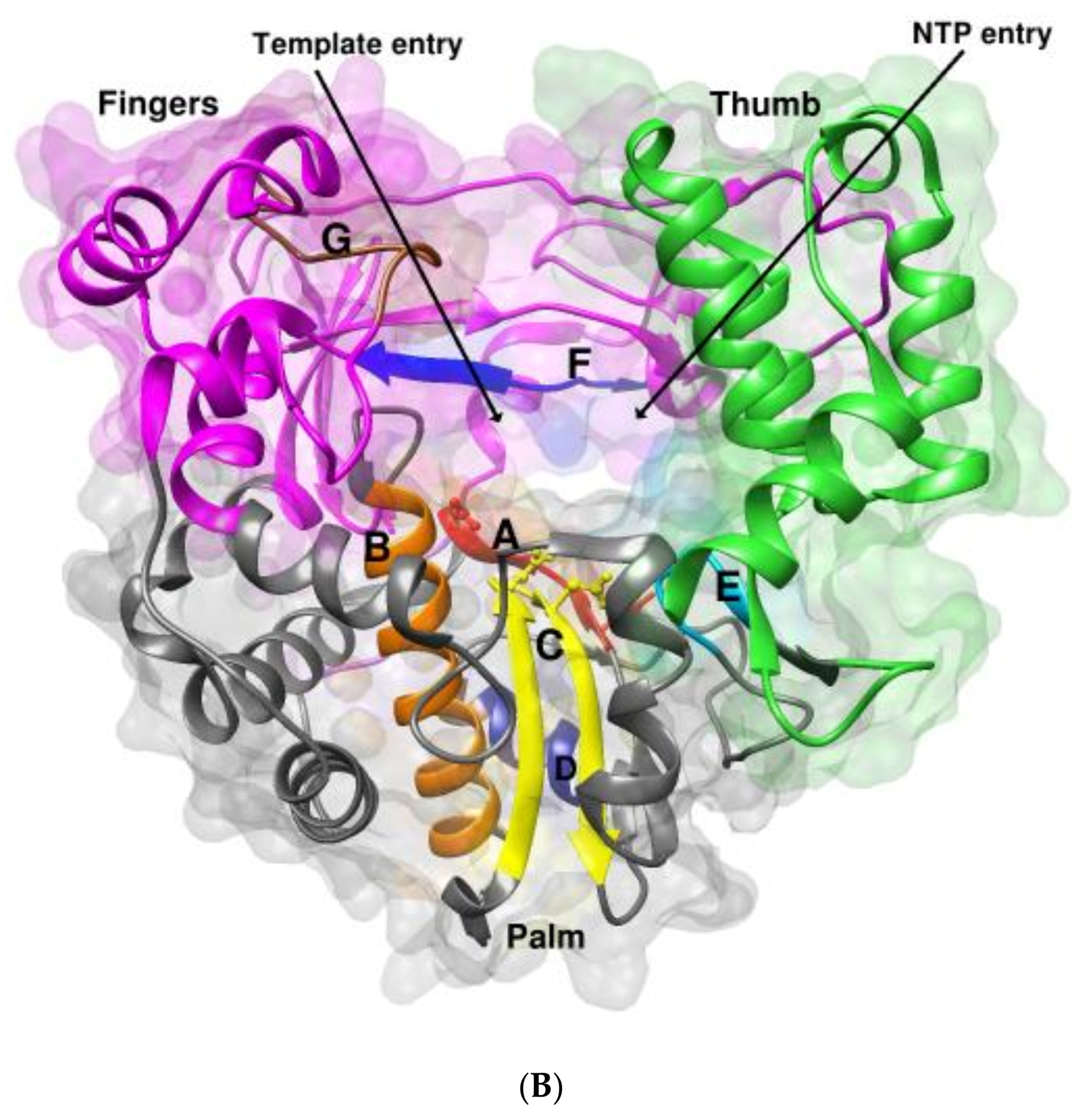 Viruses 14 02200 g001b Viruses 14 02200 g001b