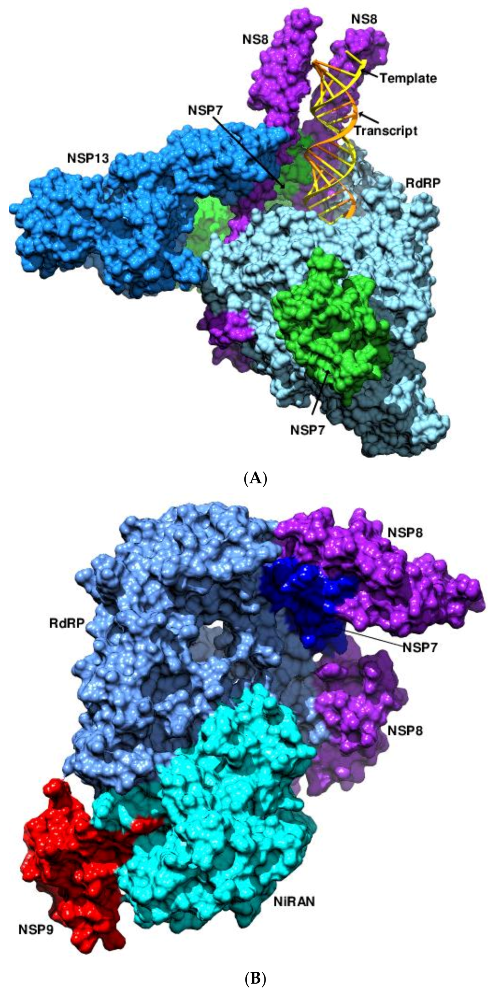 Viruses 14 02200 g003a Viruses 14 02200 g003a