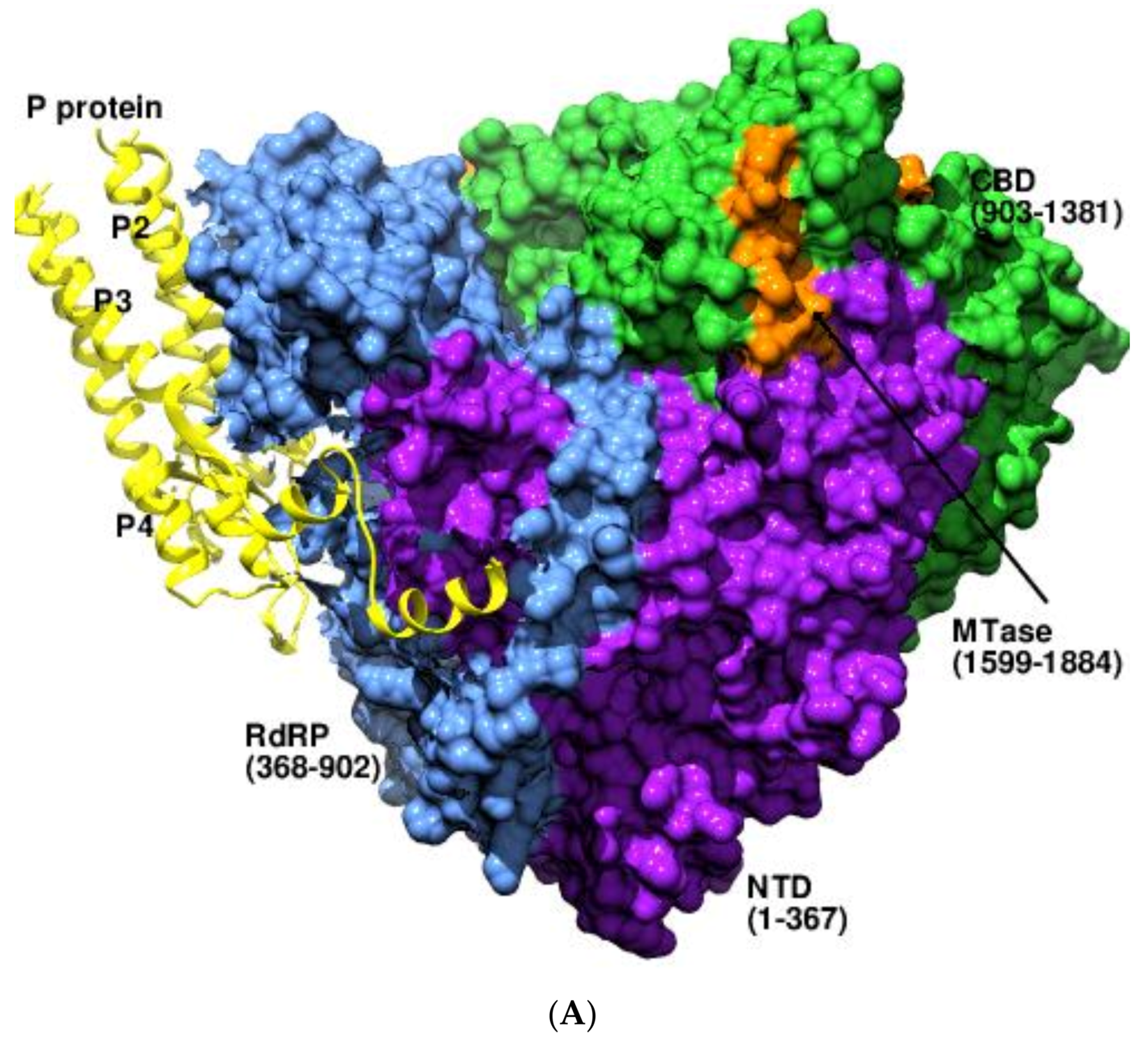 Viruses 14 02200 g004a Viruses 14 02200 g004a