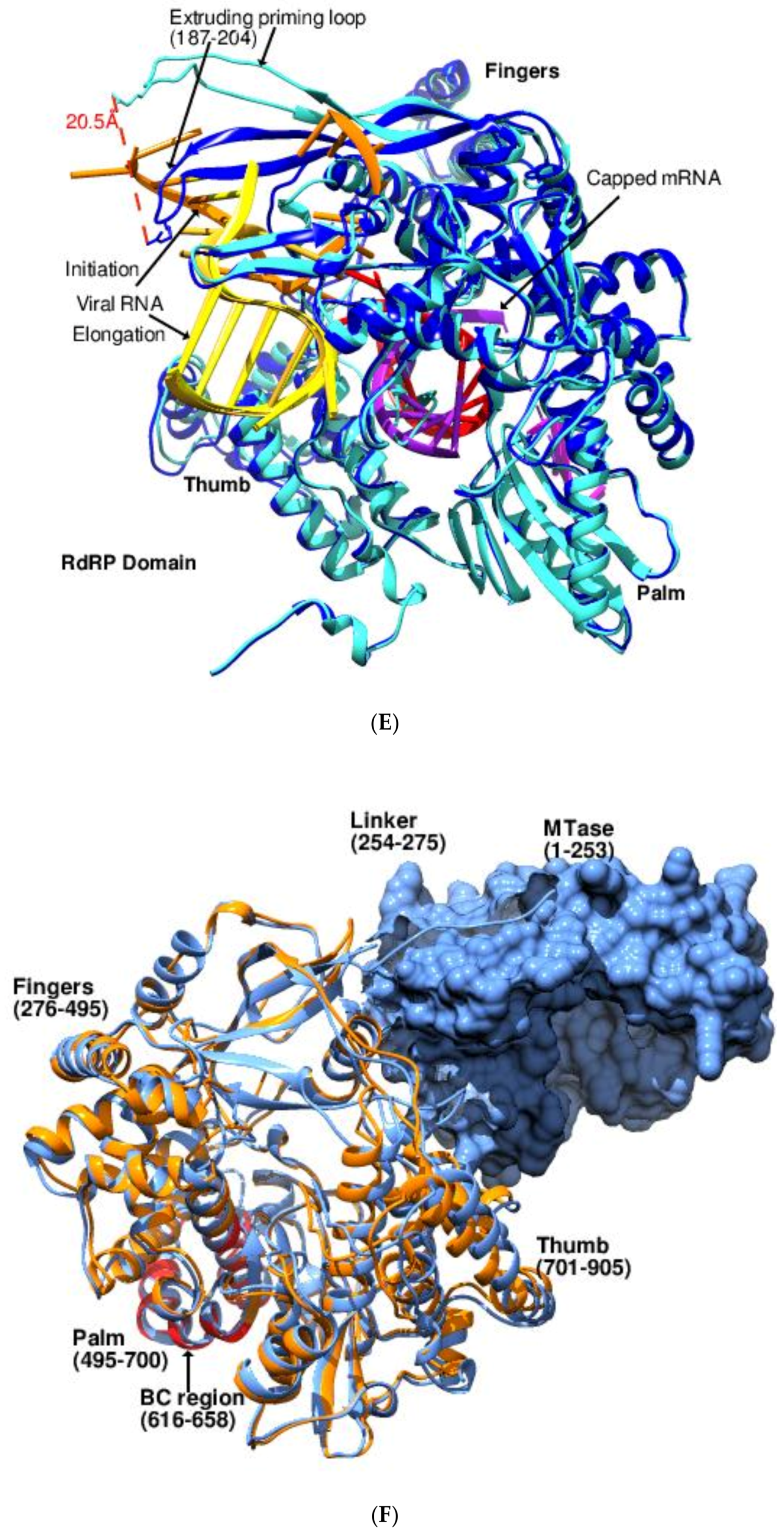 Viruses 14 02200 g008c Viruses 14 02200 g008c