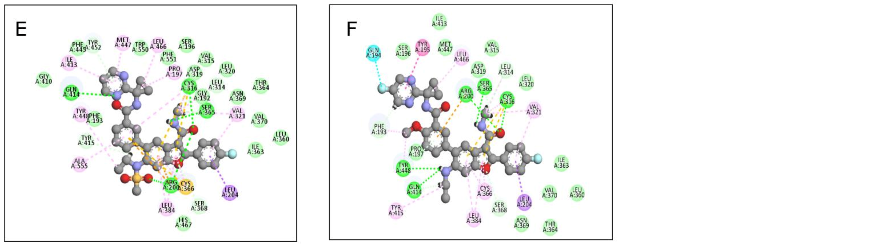 Viruses 14 02200 g011b Viruses 14 02200 g011b