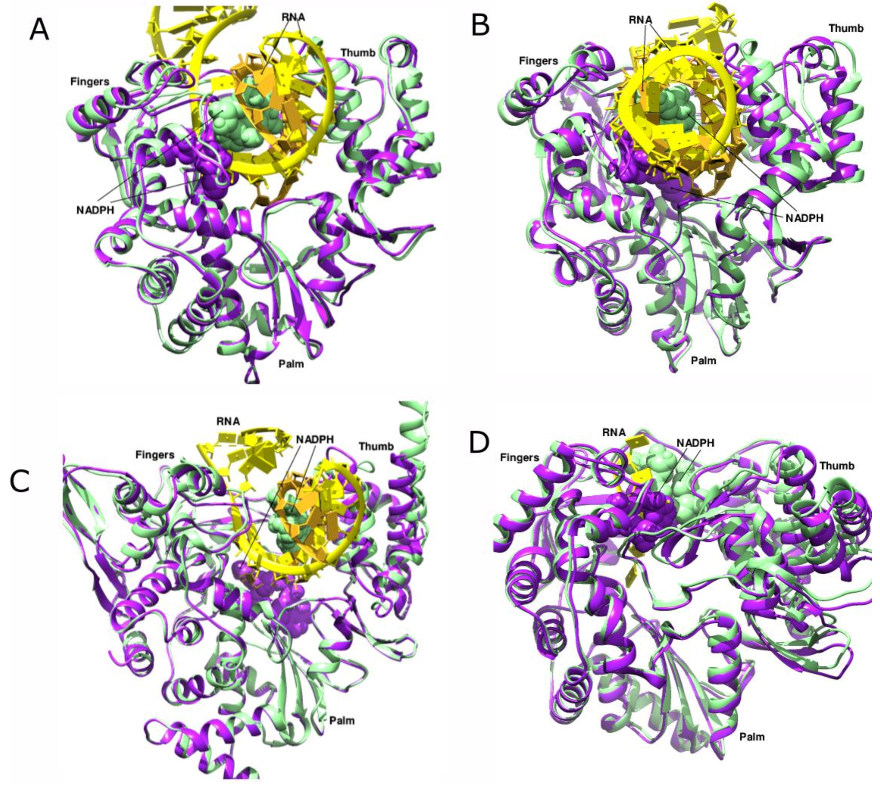 Viruses 14 02200 g013 Viruses 14 02200 g013