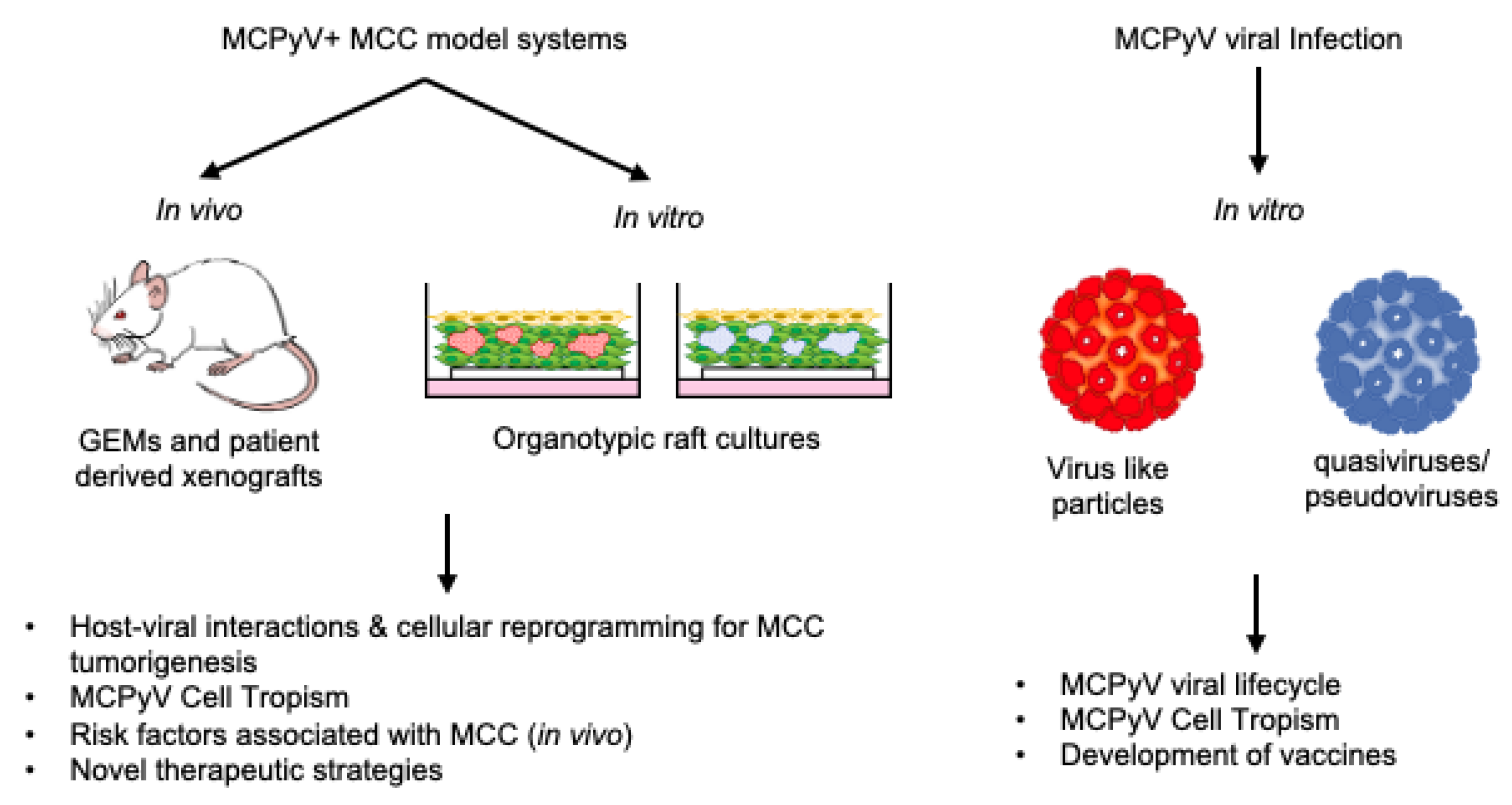 Viruses 14 02204 g002