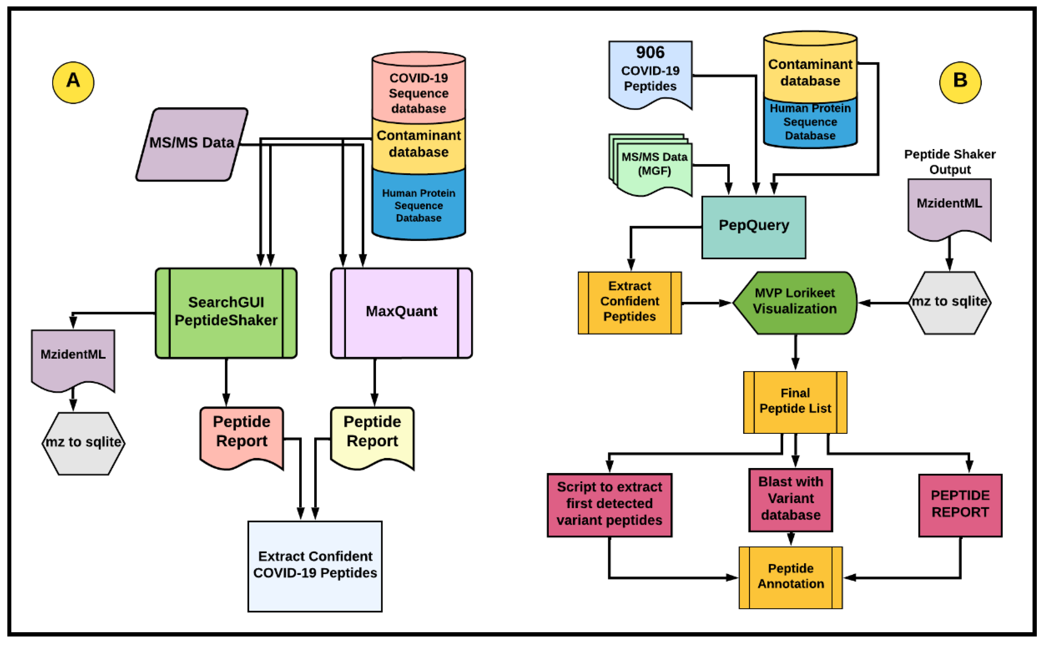 Viruses 14 02205 g002 Viruses 14 02205 g002