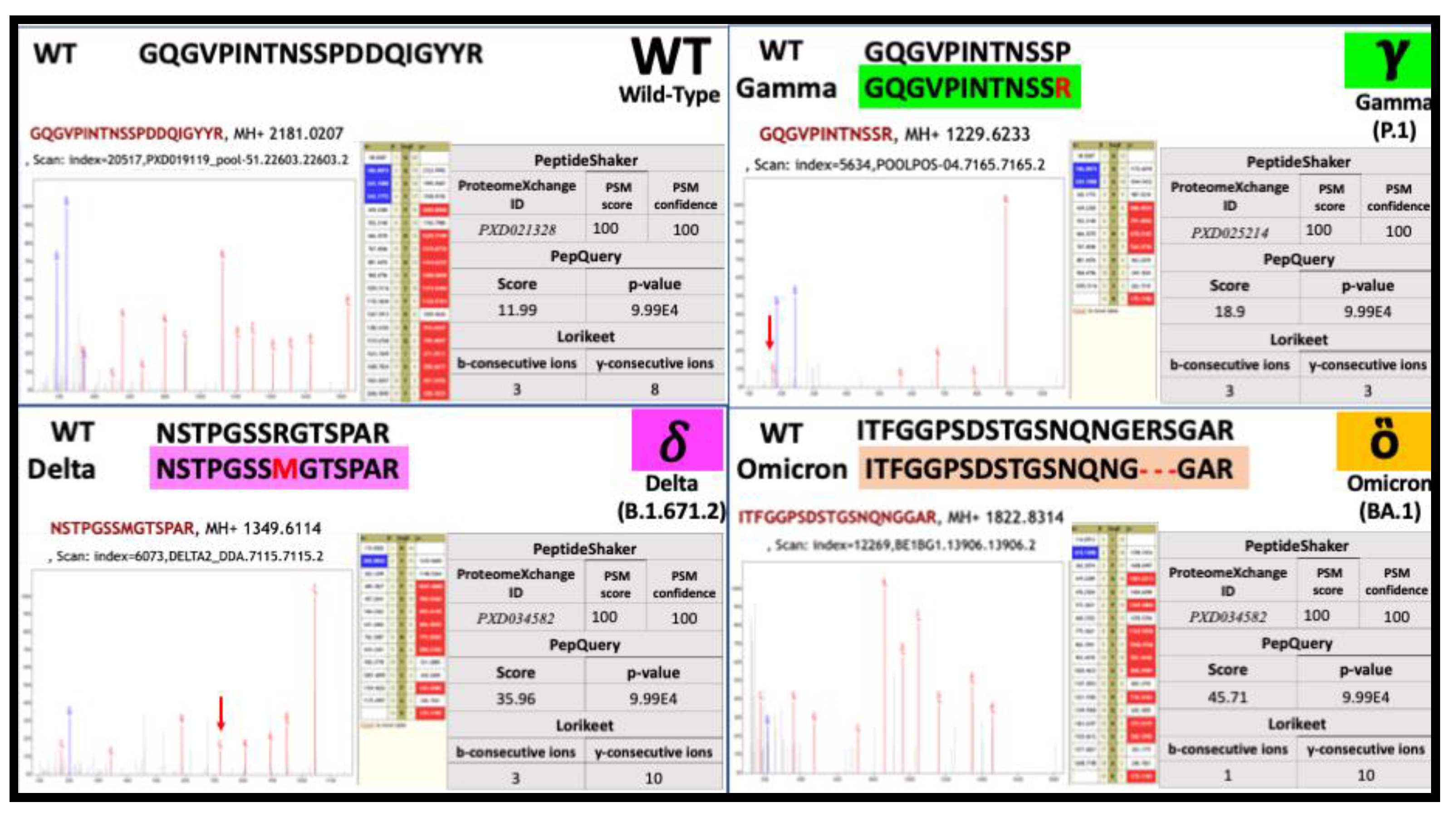 Viruses 14 02205 g003 Viruses 14 02205 g003