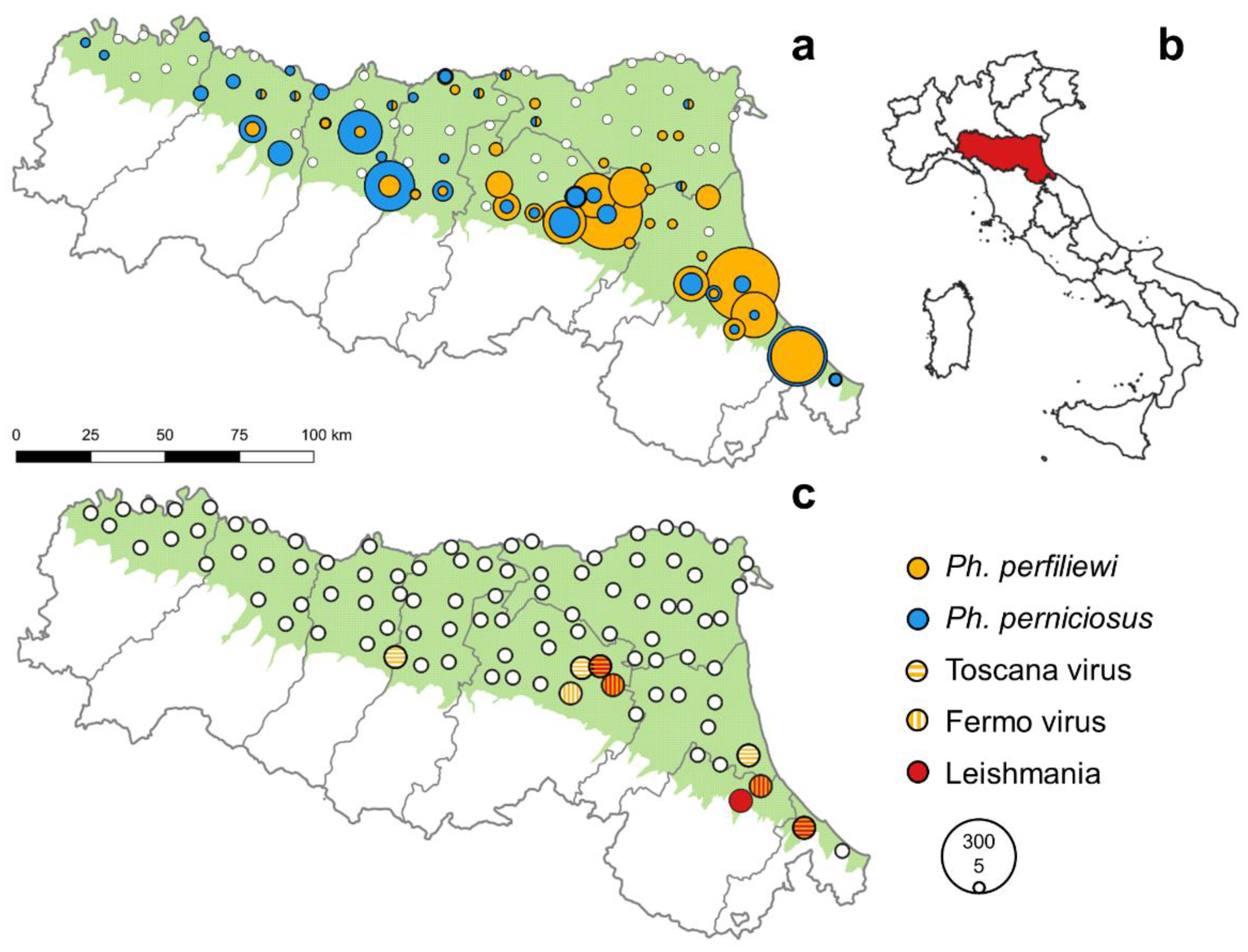 Viruses 14 02209 g001 Viruses 14 02209 g001