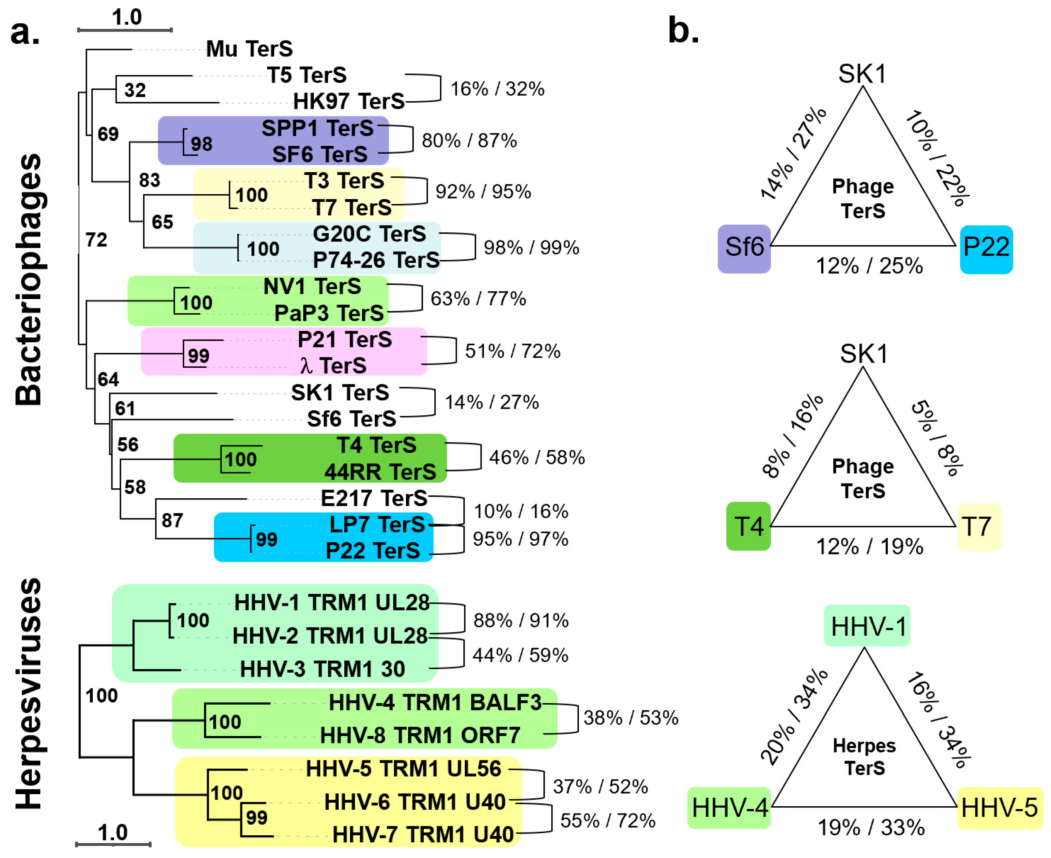 Viruses 14 02215 g001 Viruses 14 02215 g001