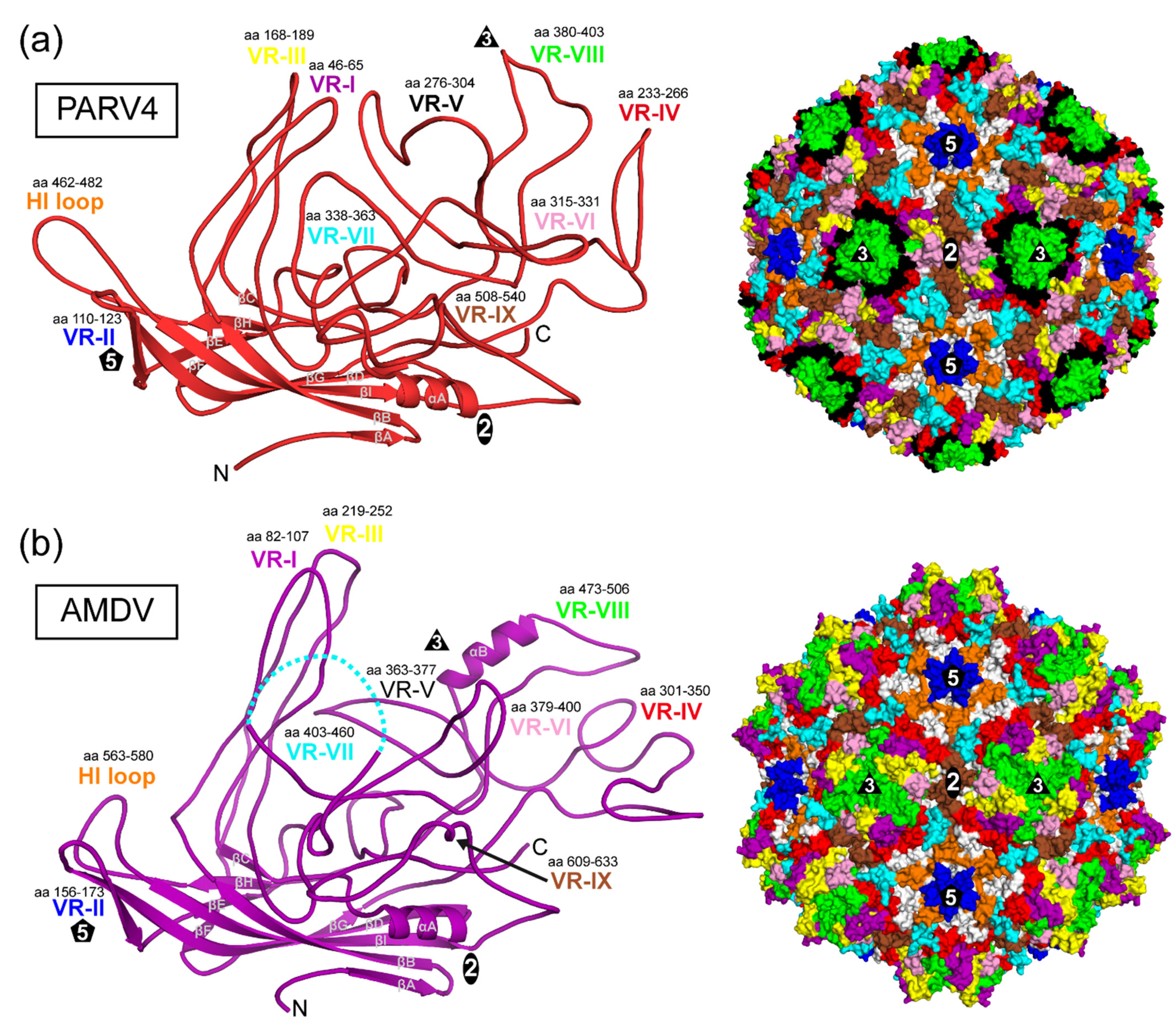 Viruses 14 02219 g003