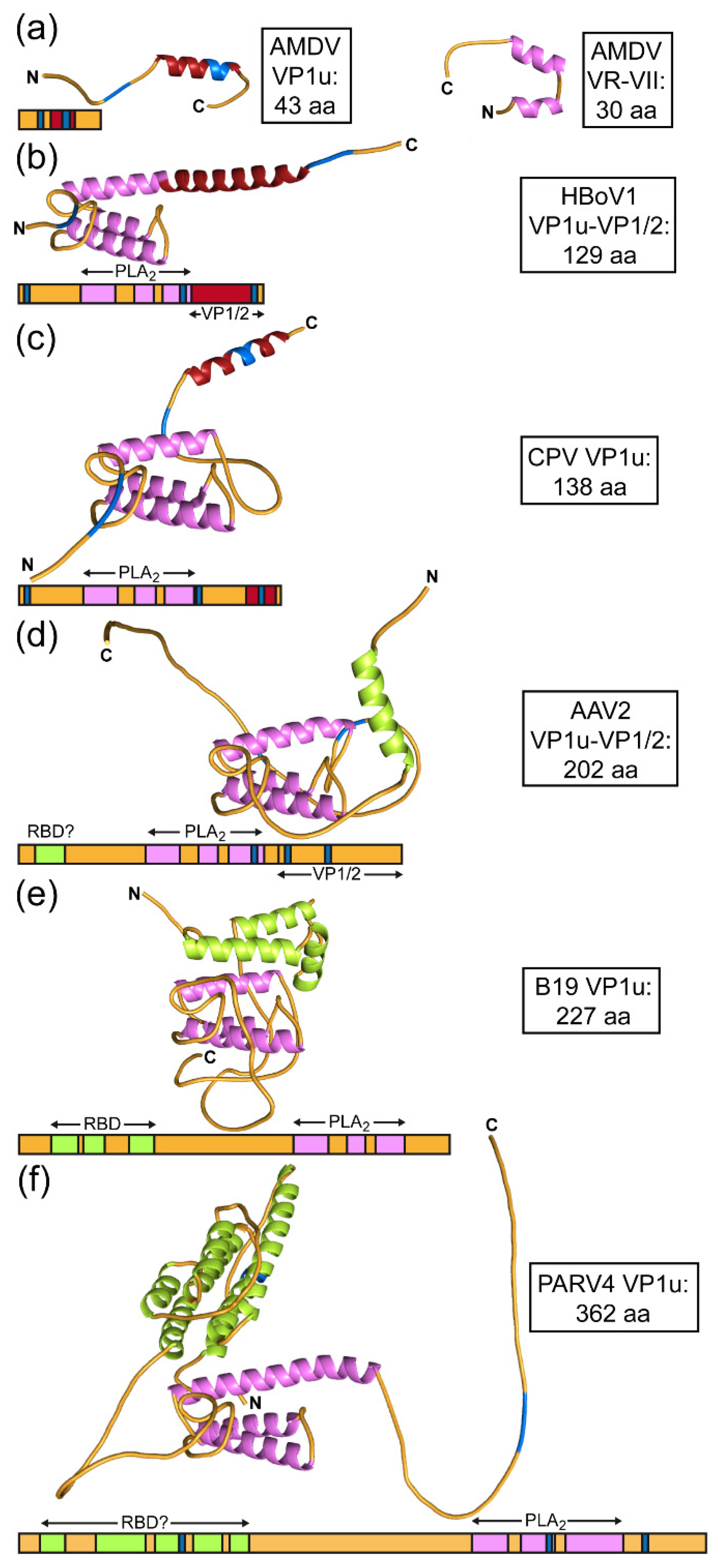 Viruses 14 02219 g006