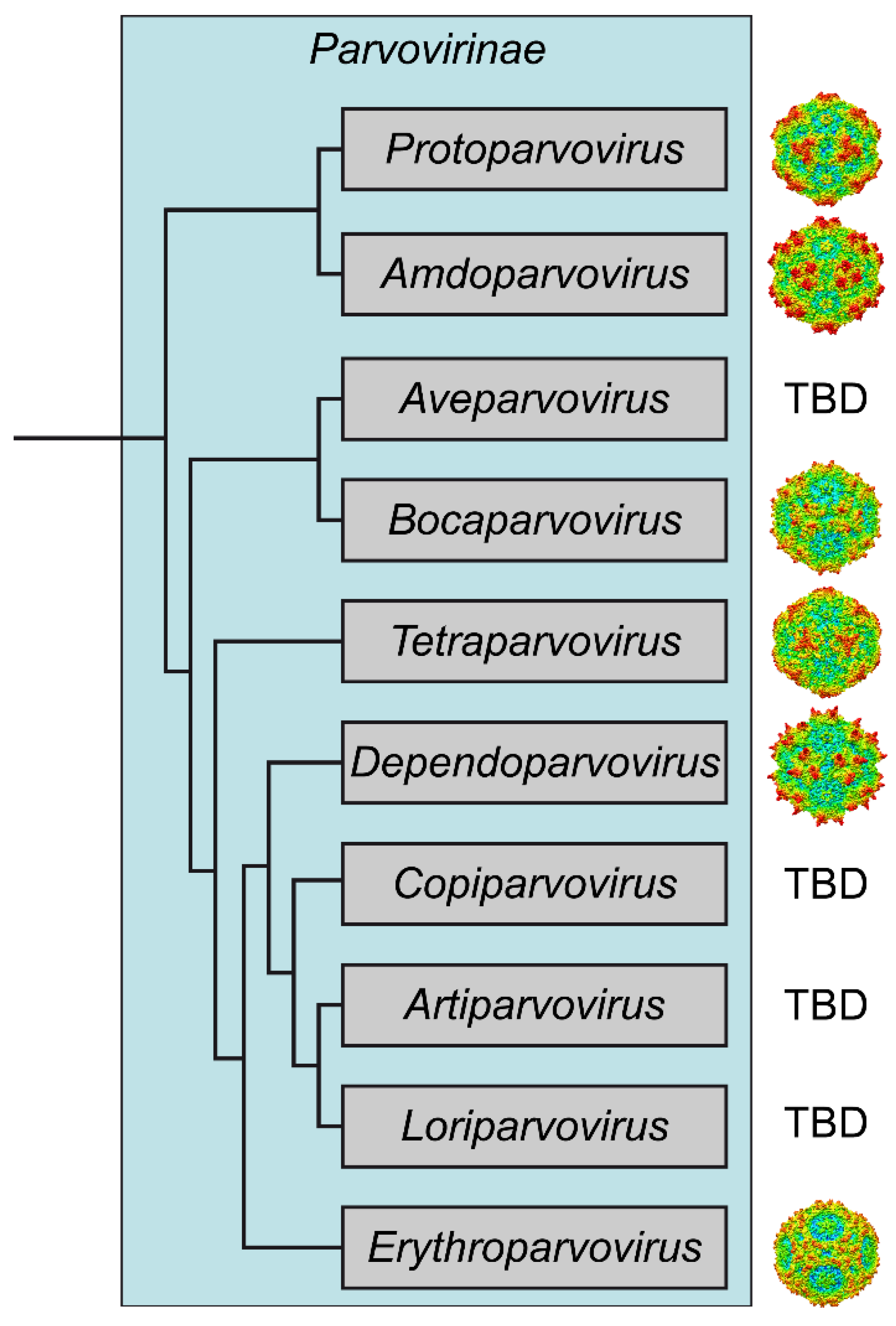 Viruses 14 02219 g007