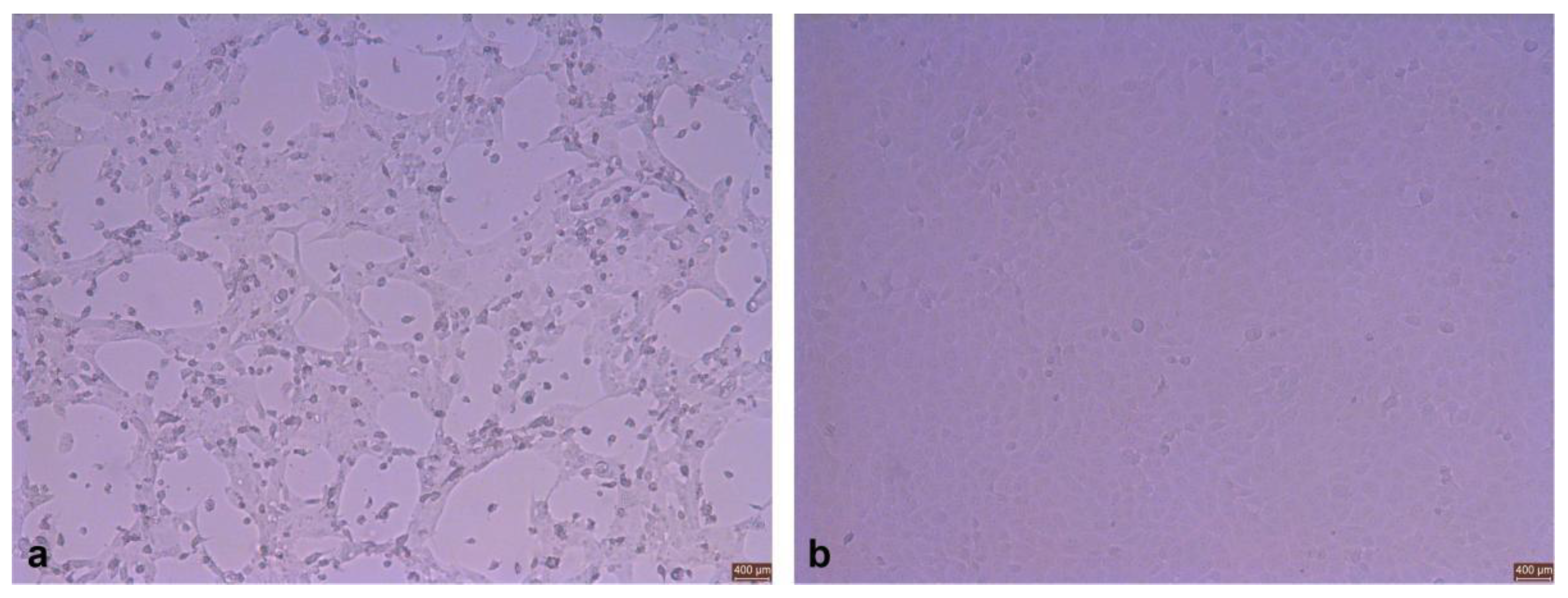 Viruses 14 02221 g001 Viruses 14 02221 g001