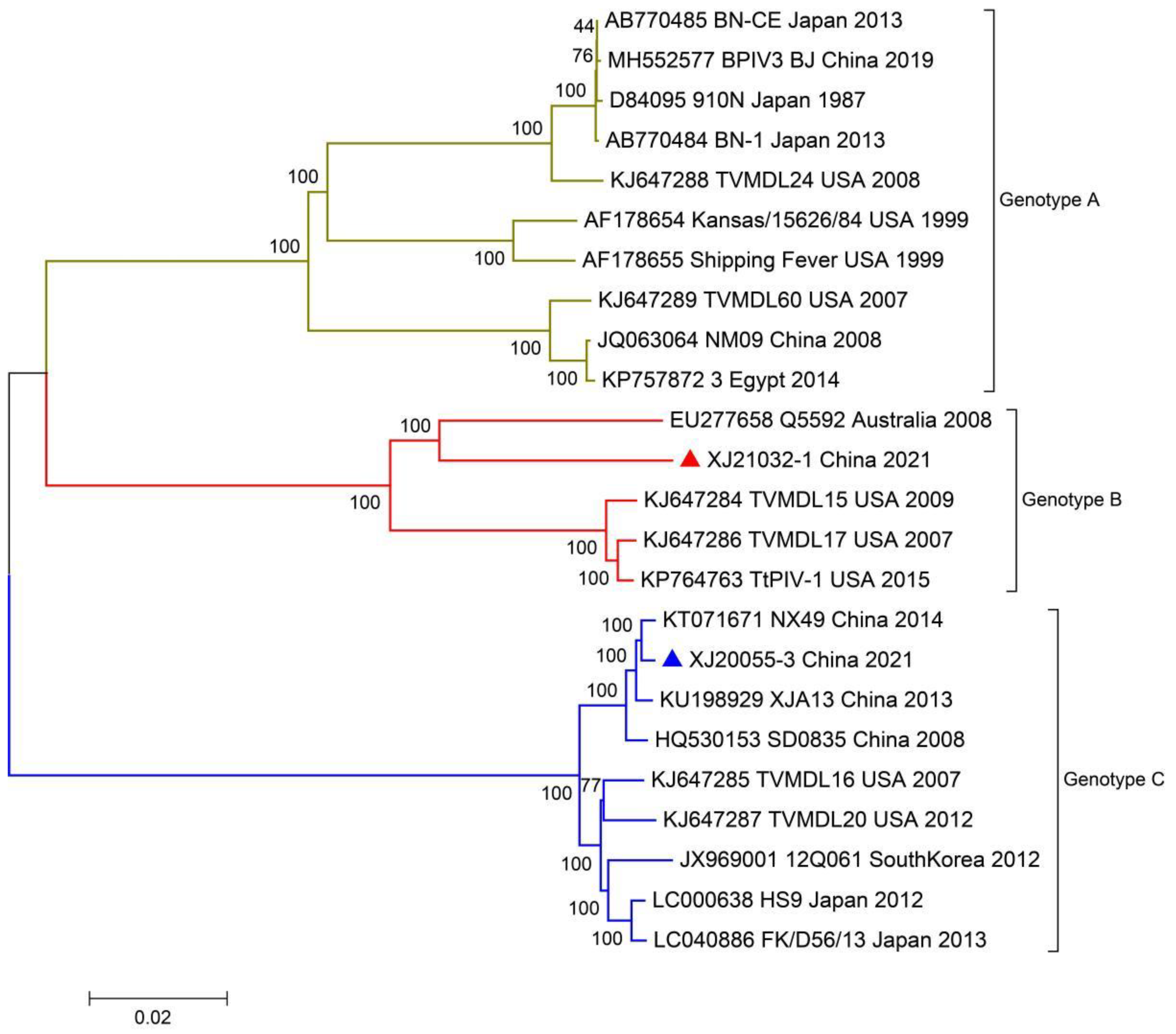 Viruses 14 02221 g004 Viruses 14 02221 g004