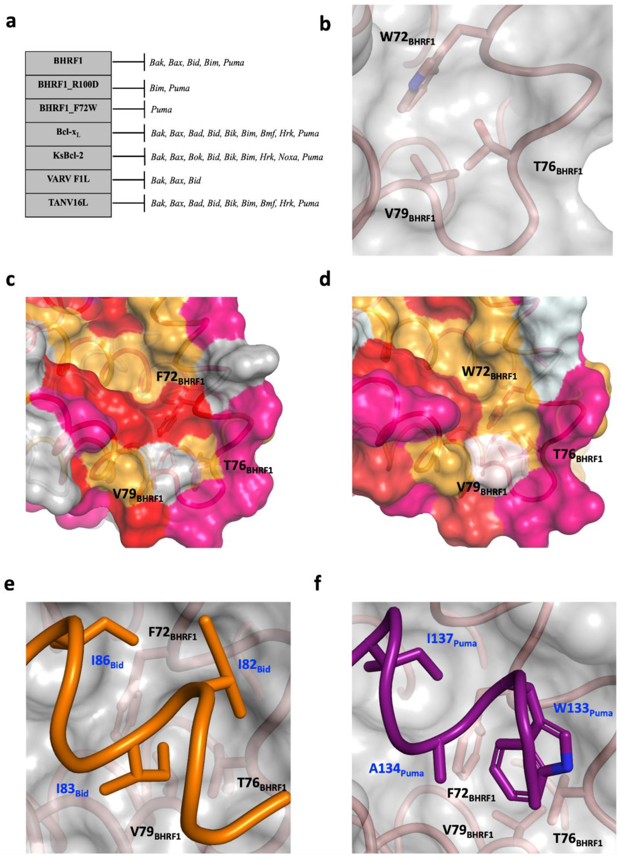 Viruses 14 02222 g003 Viruses 14 02222 g003