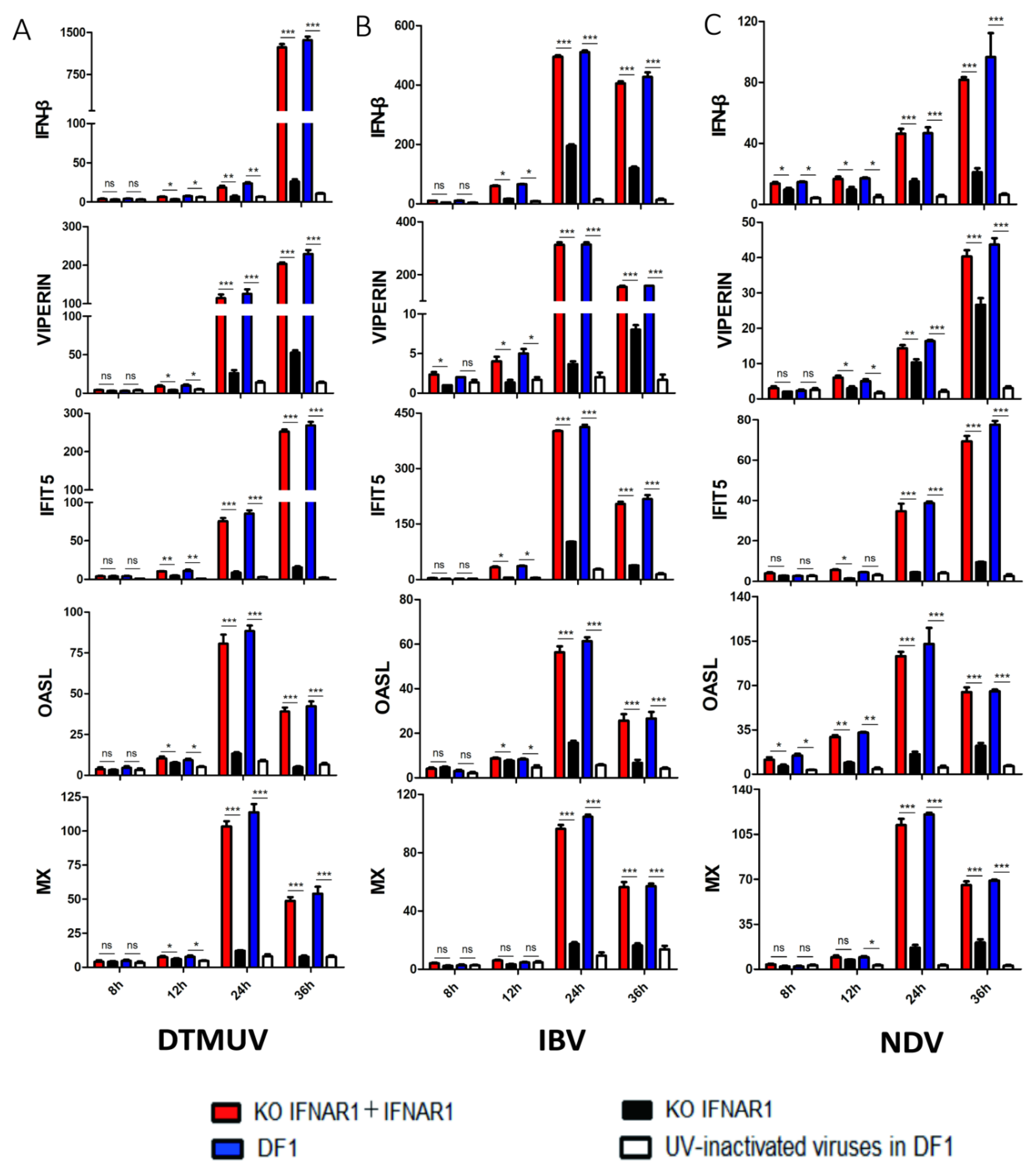 Viruses 14 02225 g002 Viruses 14 02225 g002