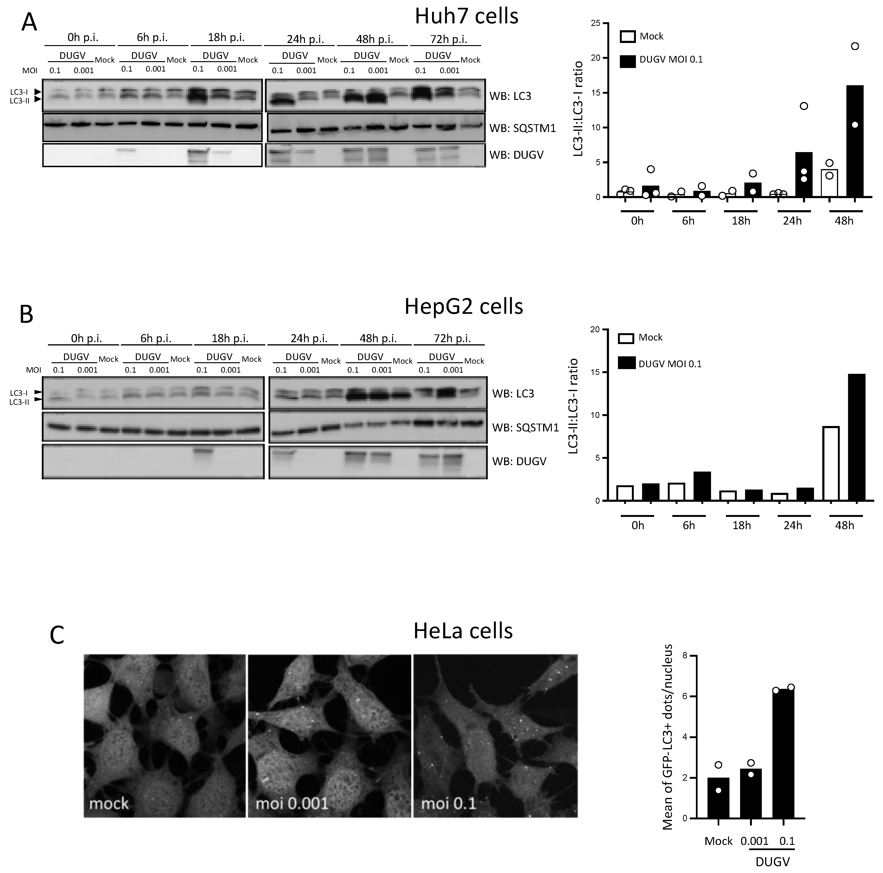 Viruses 14 02230 g001 Viruses 14 02230 g001