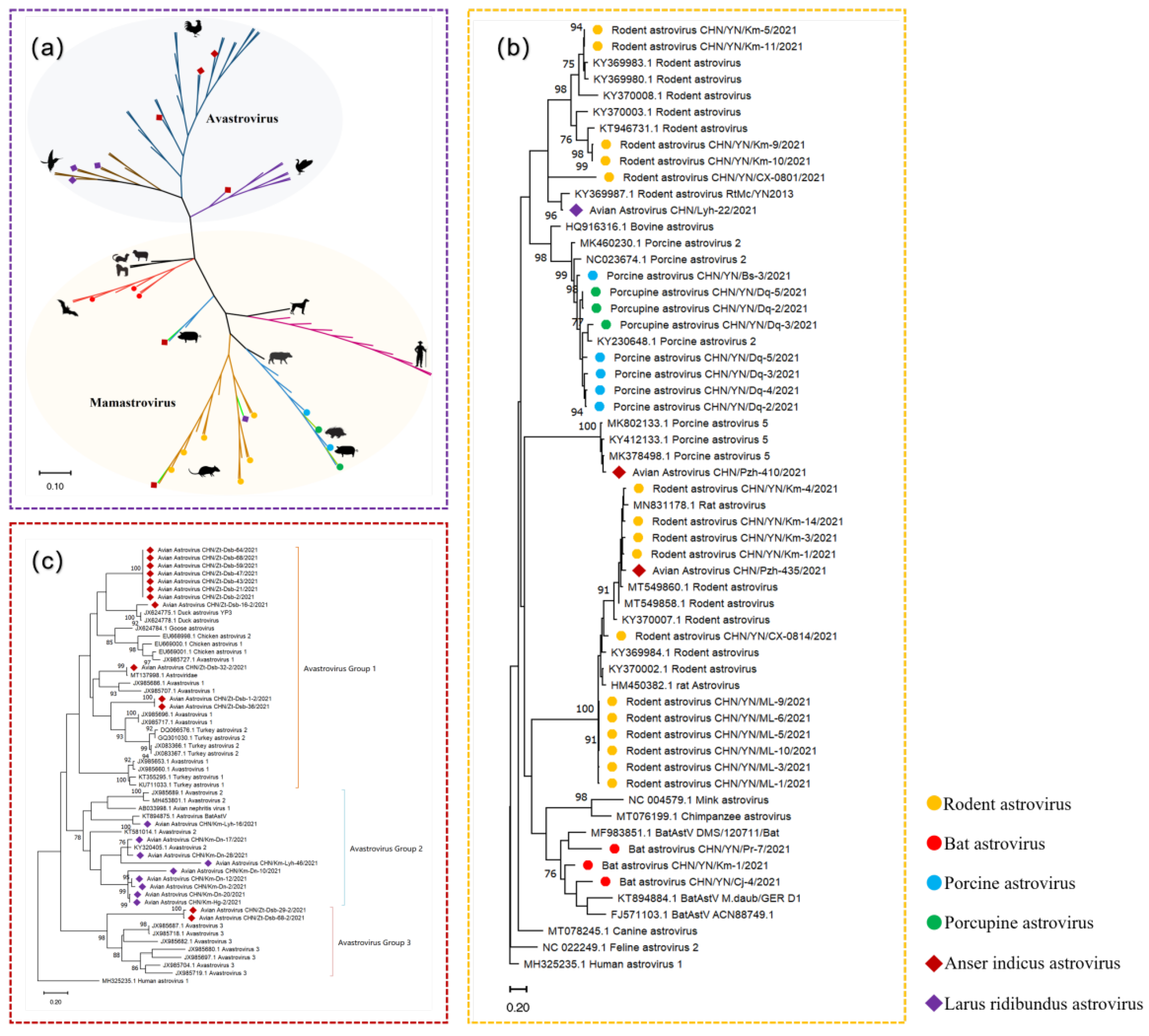 Viruses 14 02234 g001 Viruses 14 02234 g001