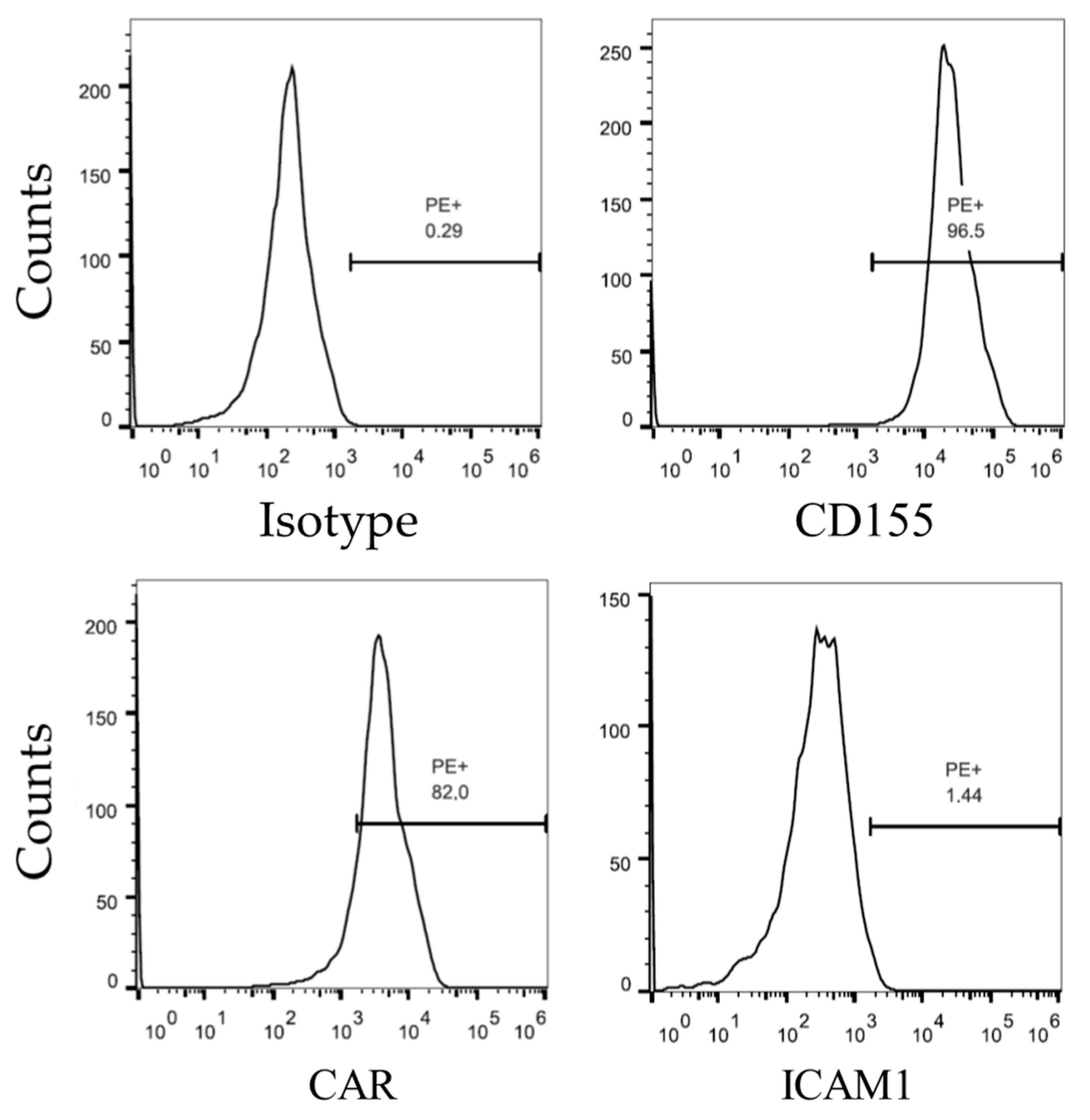Viruses 14 02235 g001