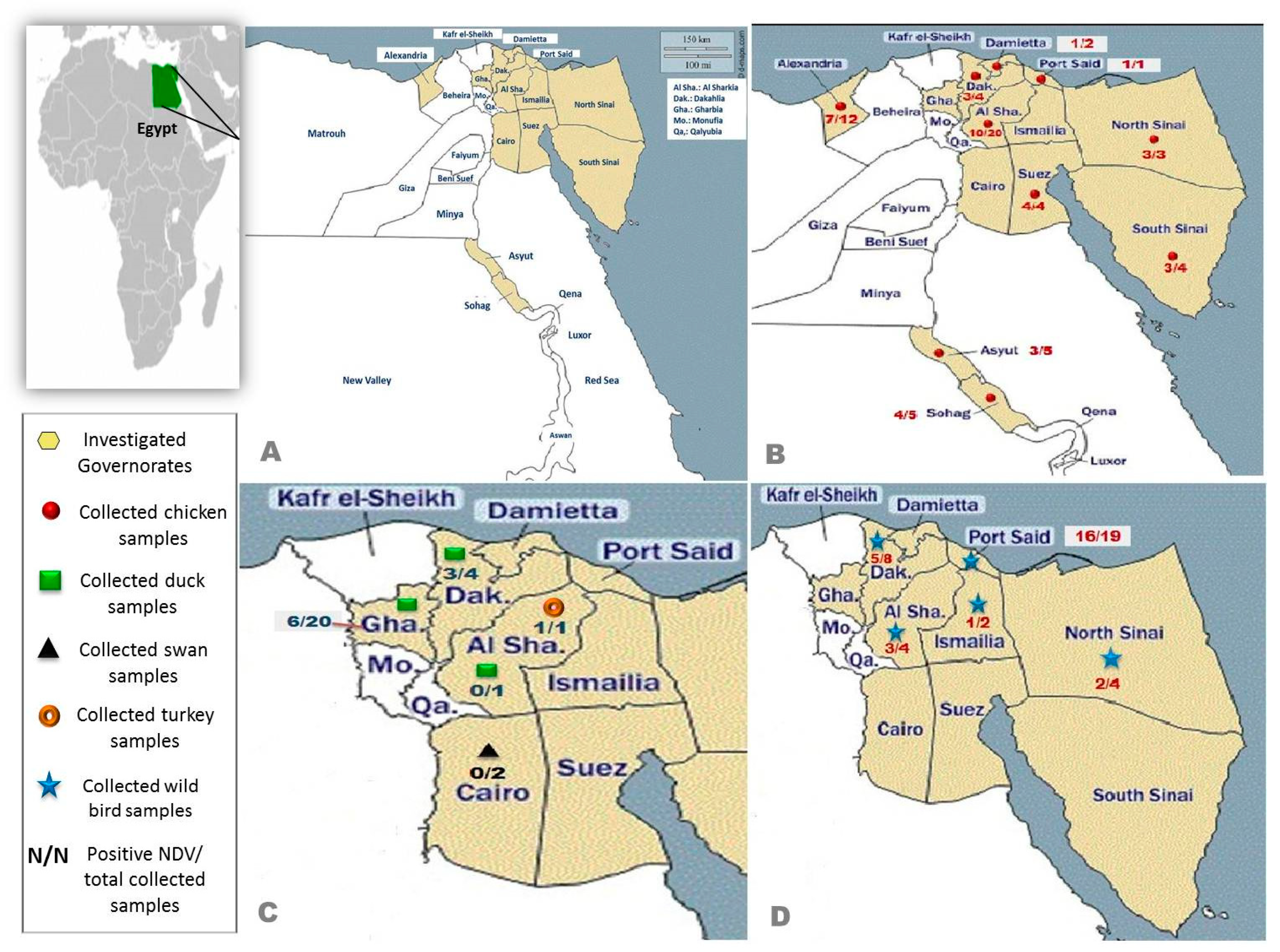 Viruses 14 02244 g003 Viruses 14 02244 g003