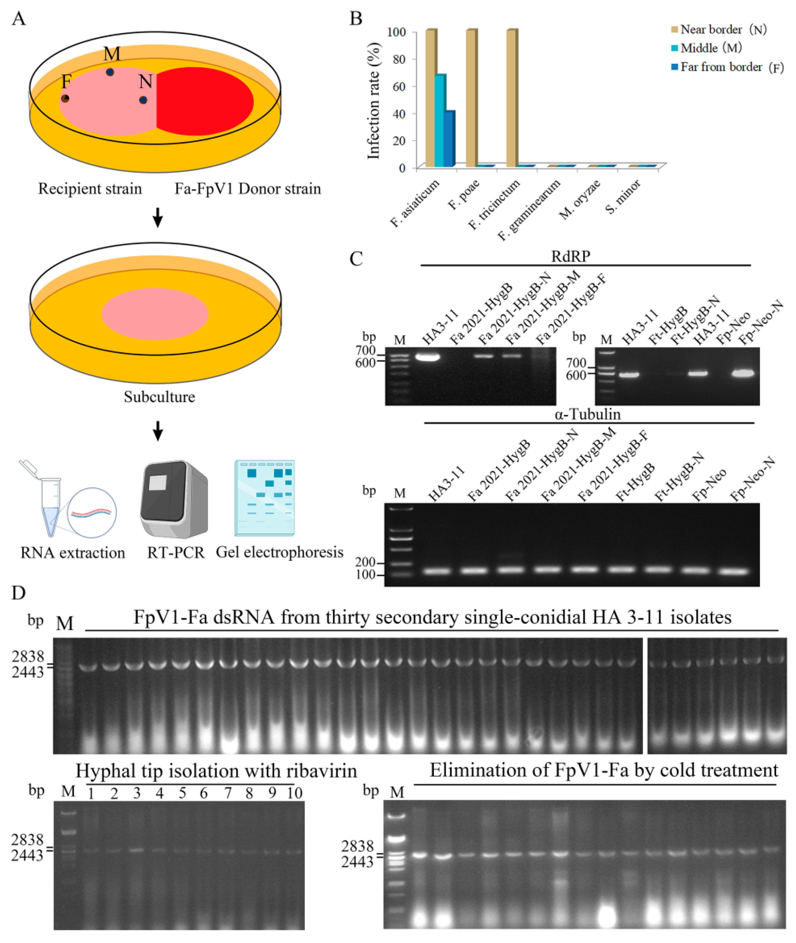 Viruses 14 02246 g002 Viruses 14 02246 g002