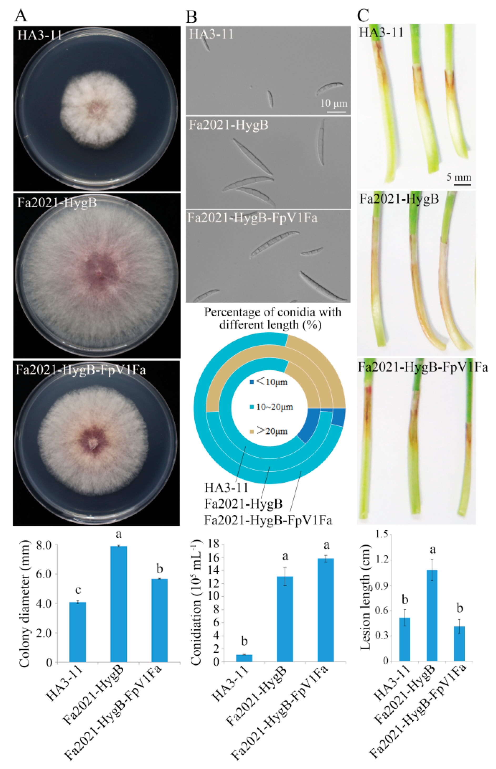 Viruses 14 02246 g003 Viruses 14 02246 g003